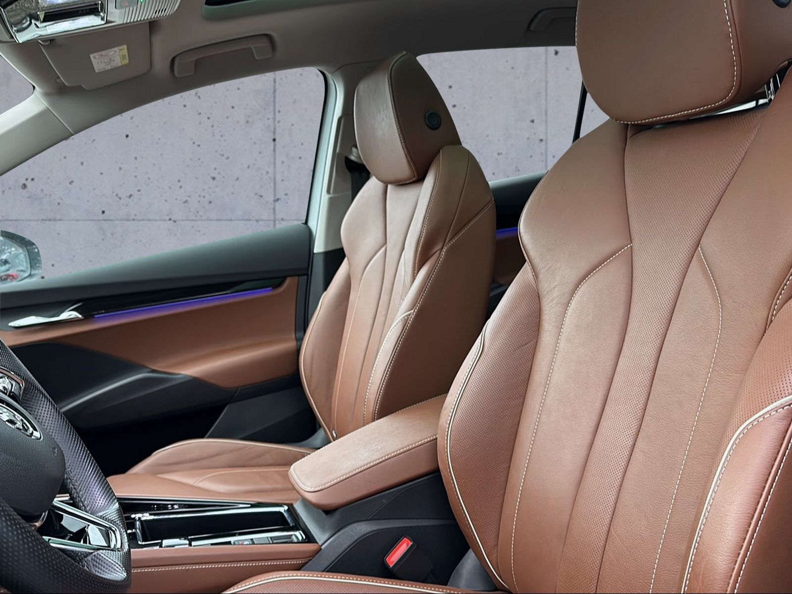 SKODA Enyaq iV 80 SportLine-image-5
