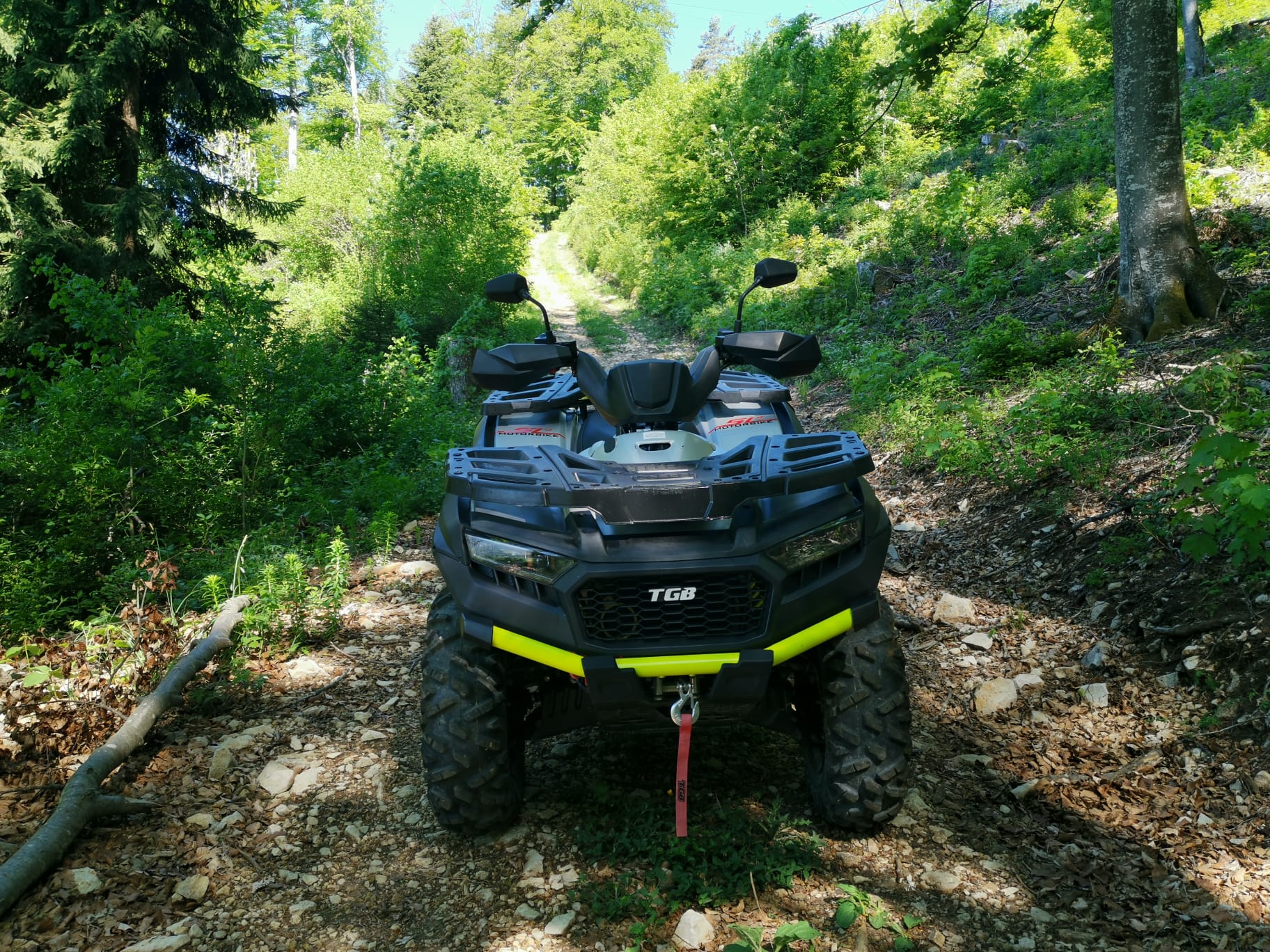 TGB Blade ATV 600 FL SE EPS 4x4-showroom-element-2