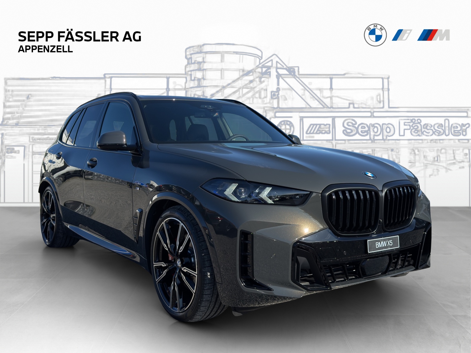 BMW X5 xDrive 48V 40d M Sport Pro Steptronic-image-6