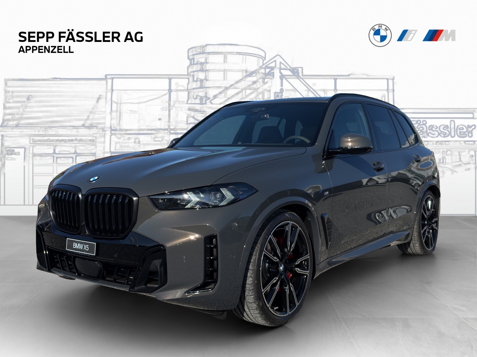 BMW X5 xDrive 48V 40d M Sport Pro Steptronic-image-0