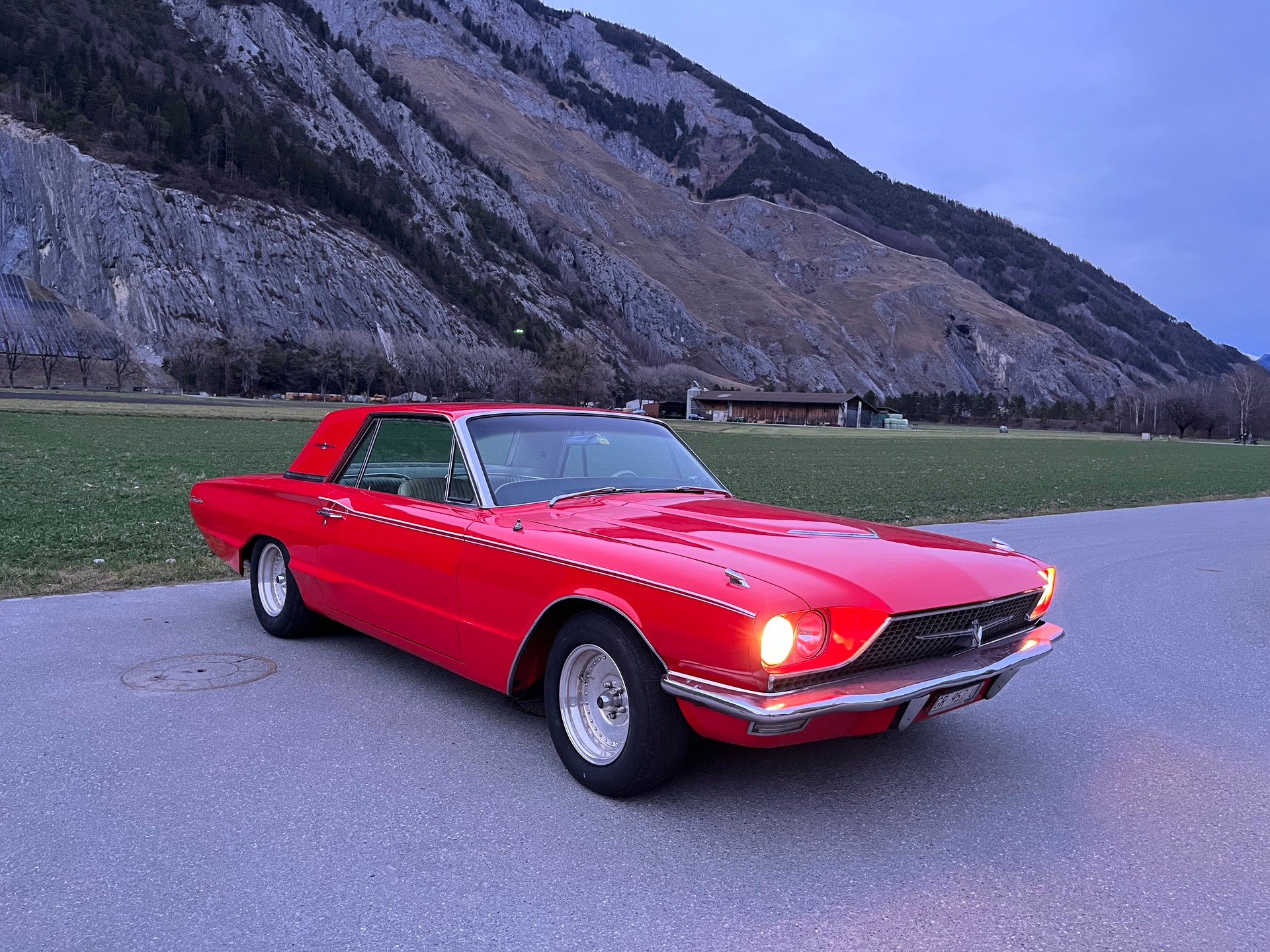 FORD V8 6.4L 252PS-image-3