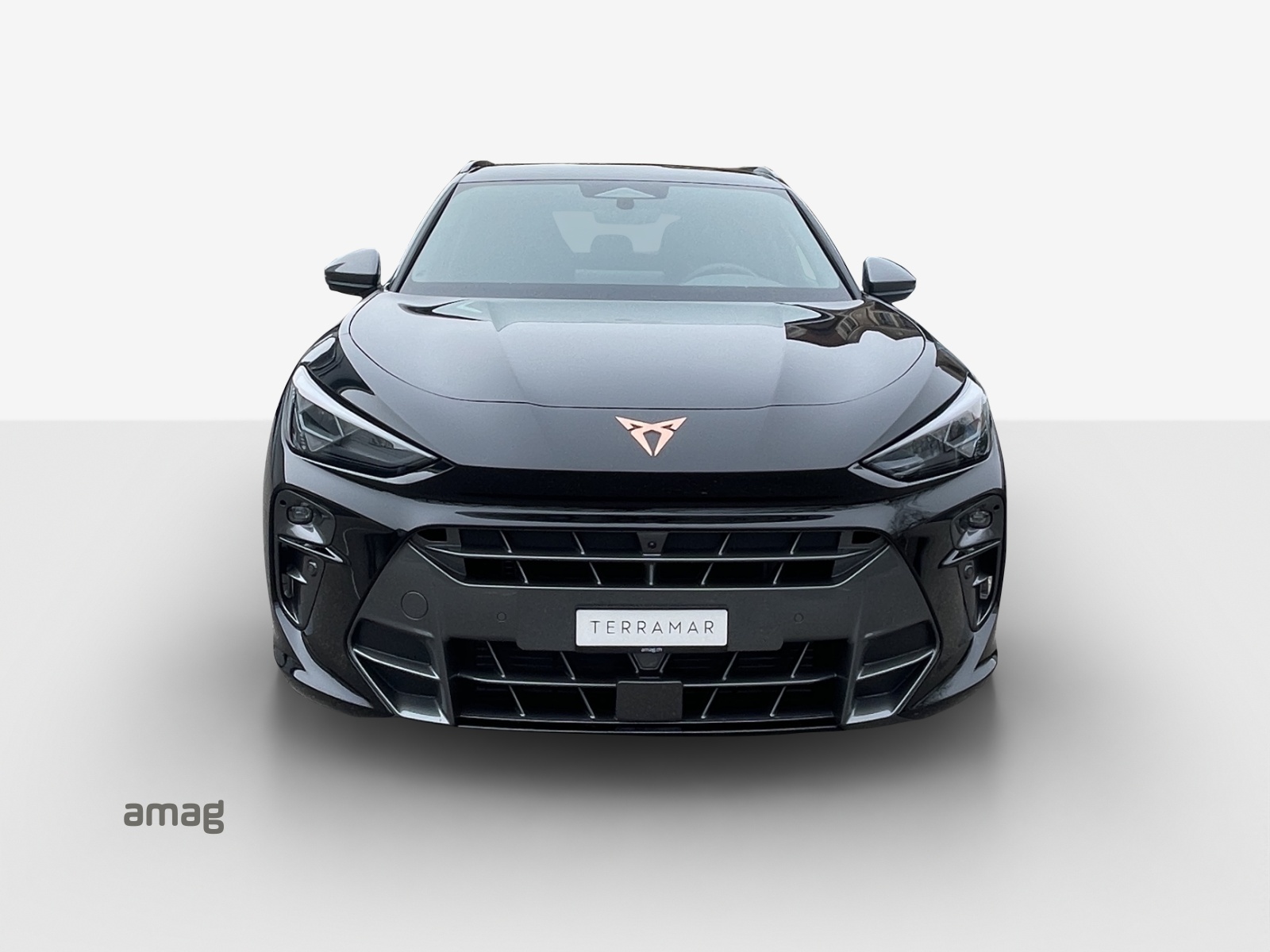 CUPRA Terramar 2.0 TSI Prime Edition DSG 4Drive-image-6