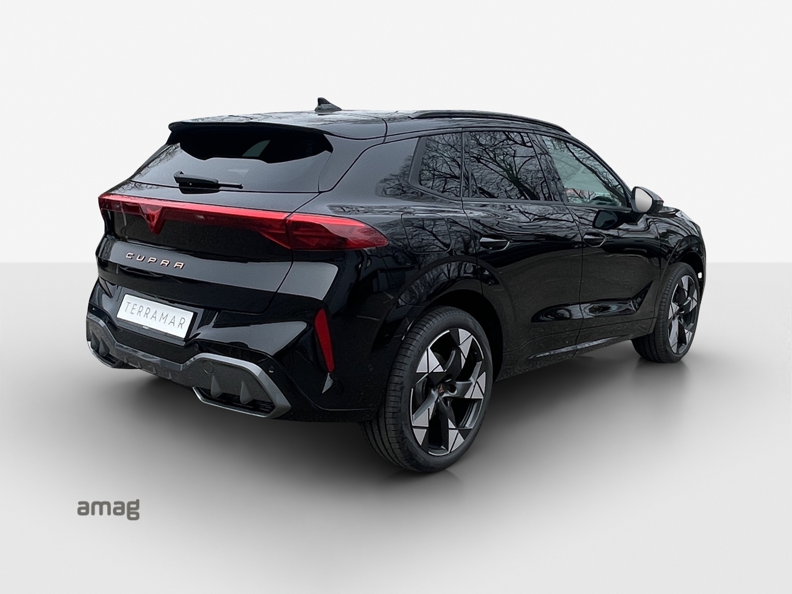 CUPRA Terramar 2.0 TSI Prime Edition DSG 4Drive-image-4