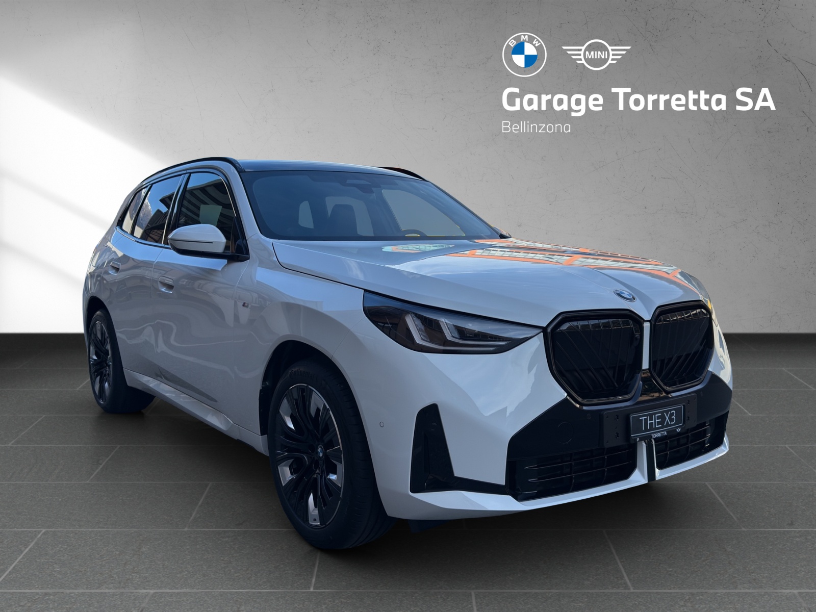 BMW X3 xDrive 48V 20d M Sport Pro-image-6