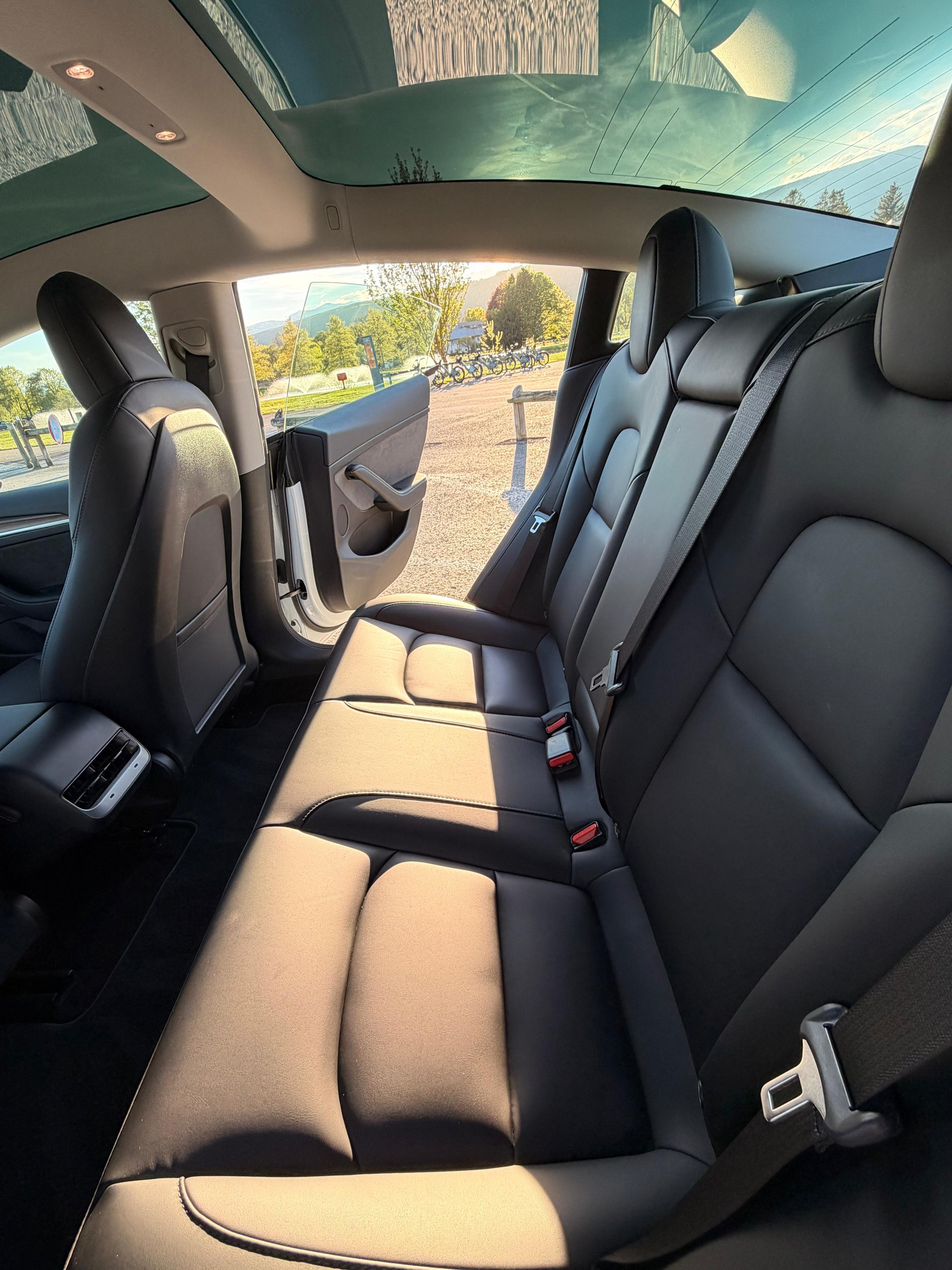 TESLA Model 3 Long Range Dual Motor AWD-image-3