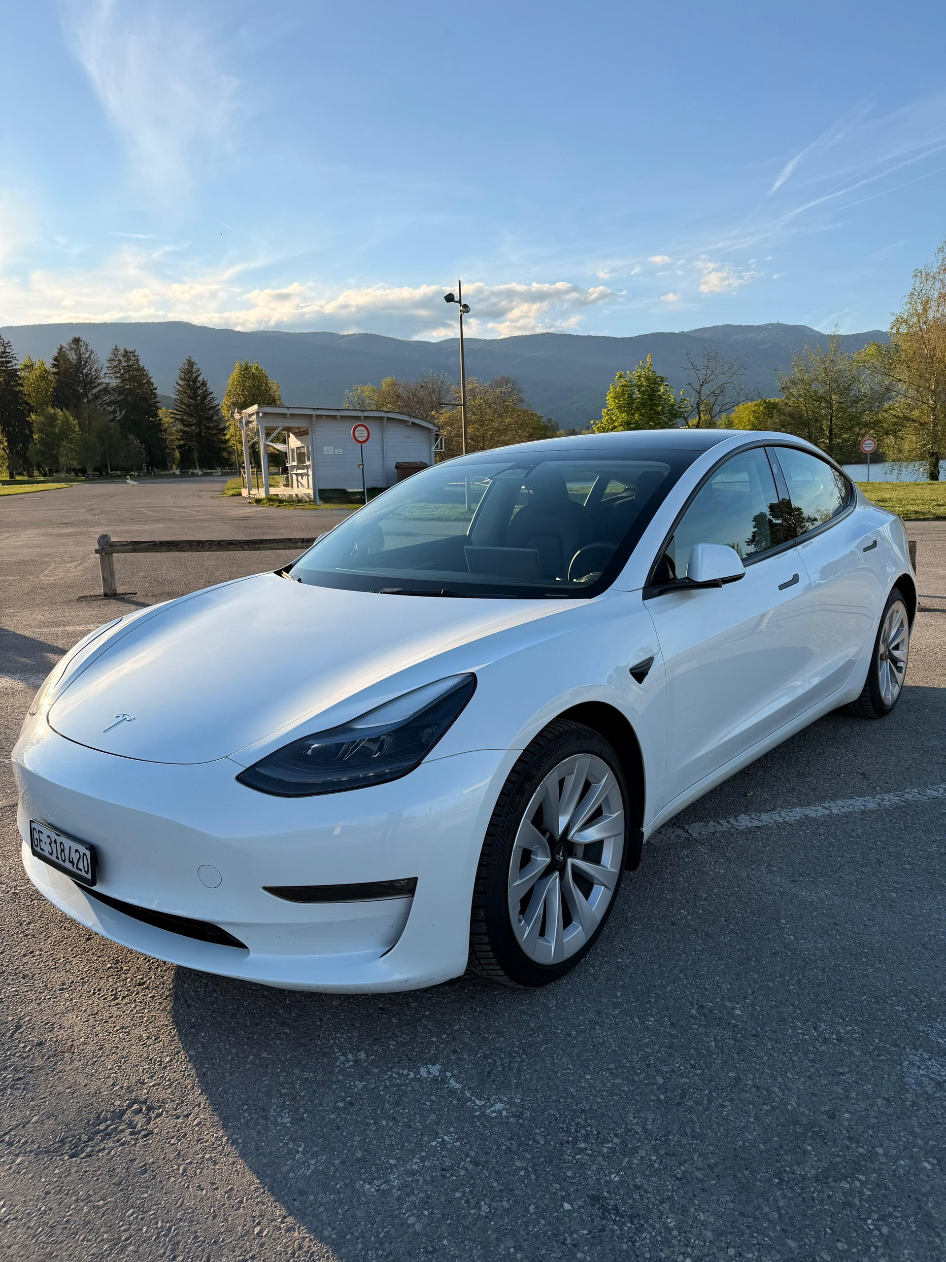 TESLA Model 3 Long Range Dual Motor AWD-image-0