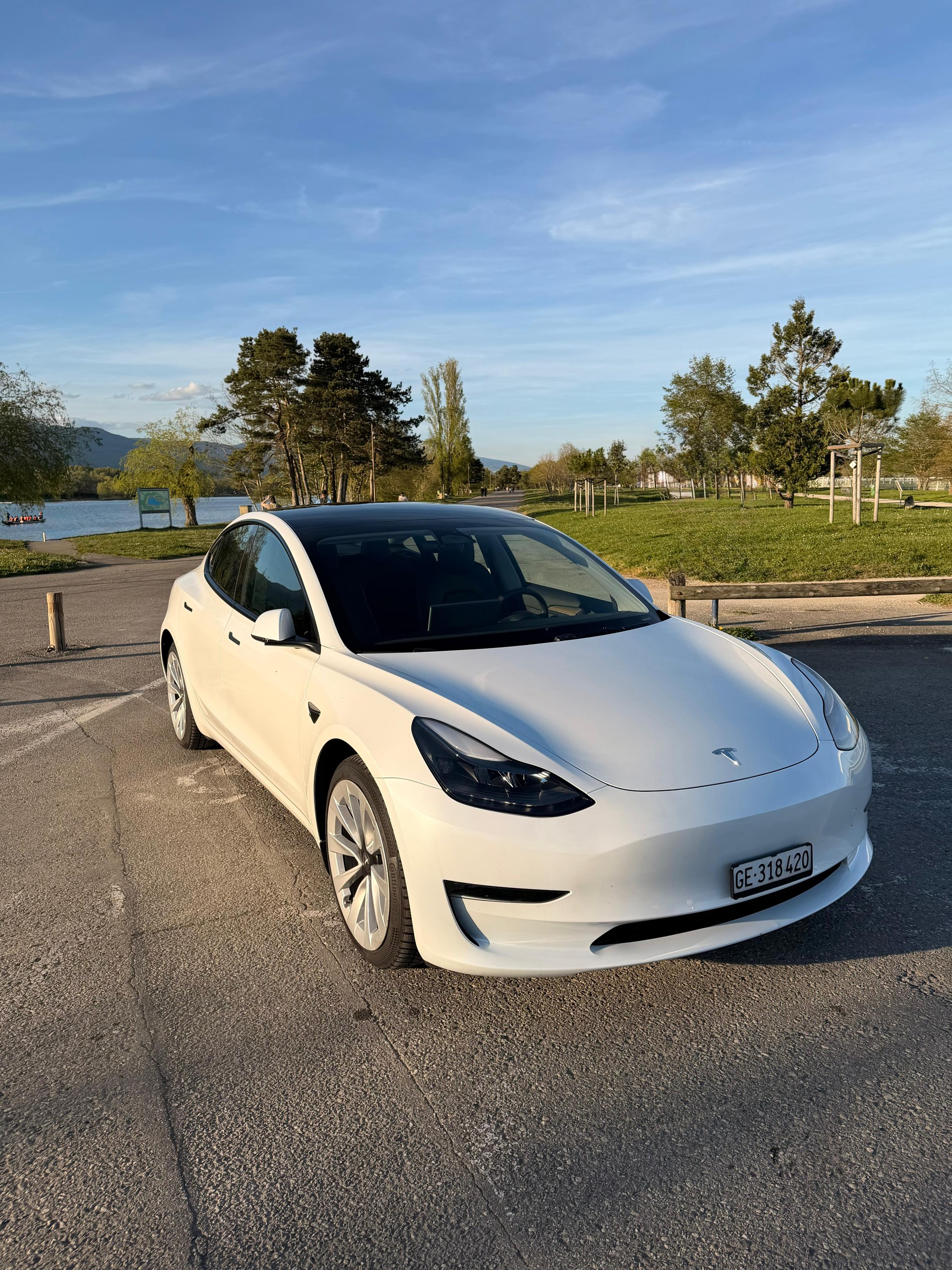 TESLA Model 3 Long Range Dual Motor AWD-image-7