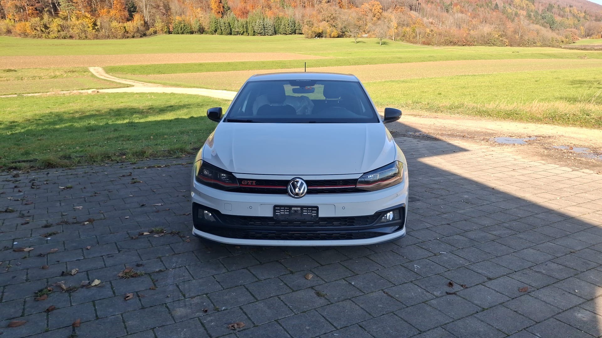 VW Polo 2.0 TSI GTI DSG