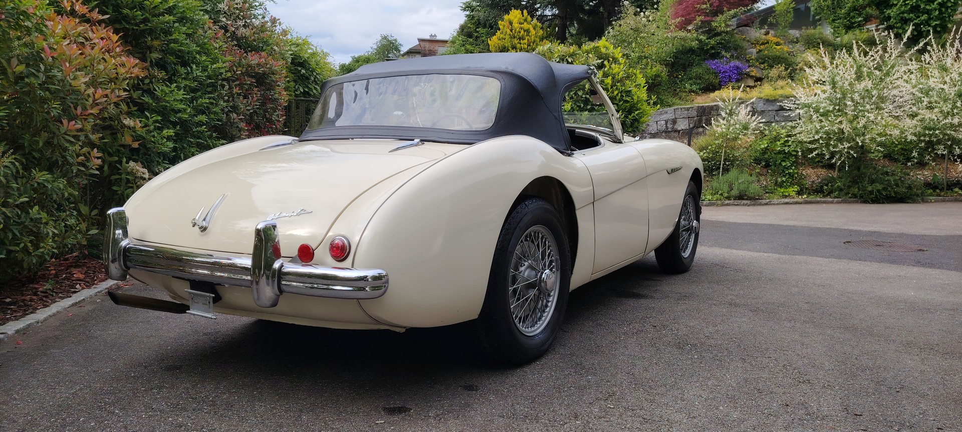 AUSTIN-HEALEY BN1 100/4 M-image-1