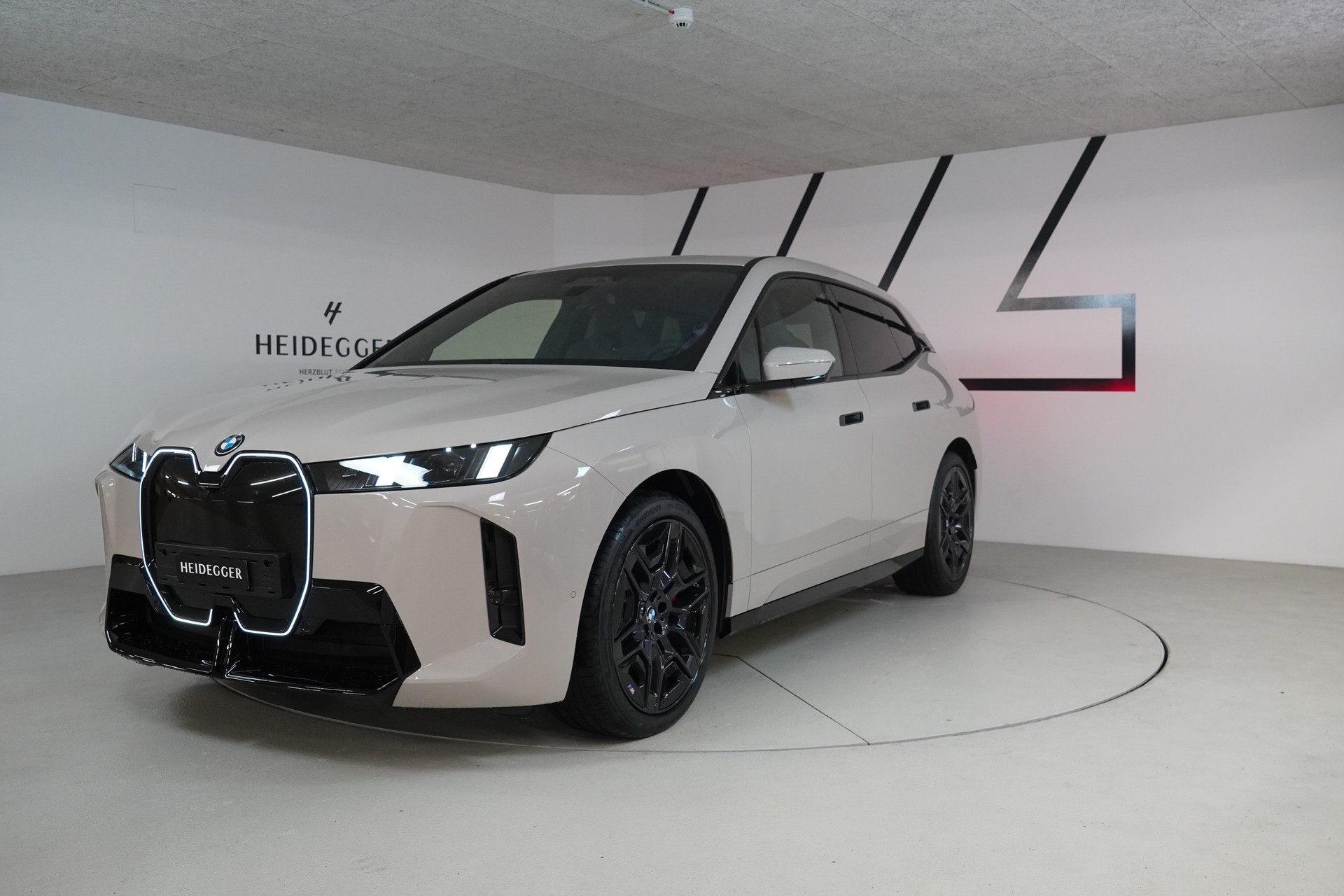 BMW iX xDrive45 M Sport Pro-image-0