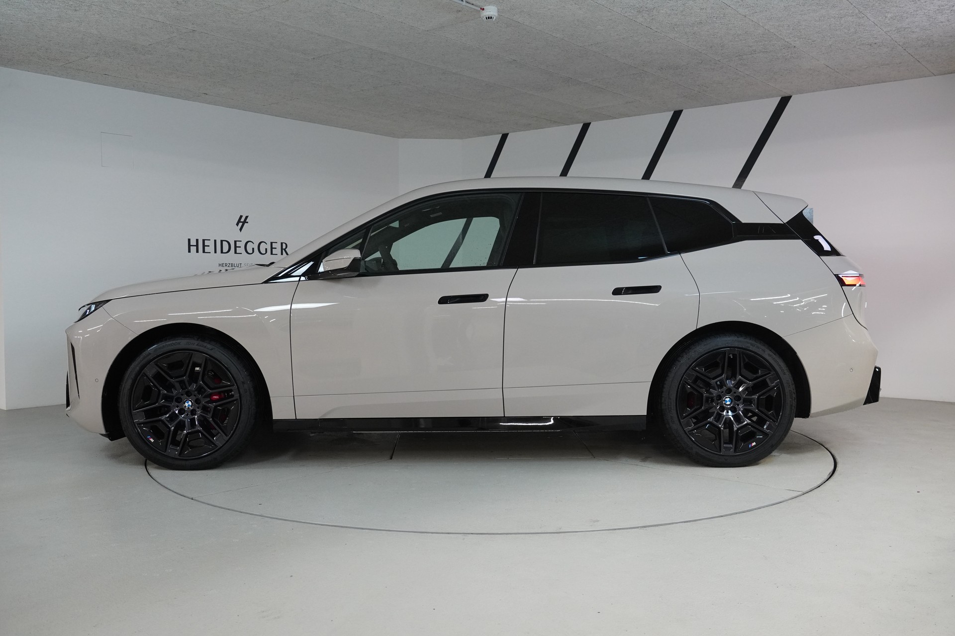 BMW iX xDrive45 M Sport Pro-image-3