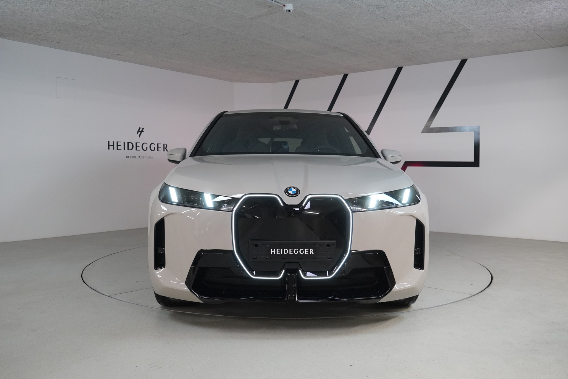 BMW iX xDrive45 M Sport Pro-image-1