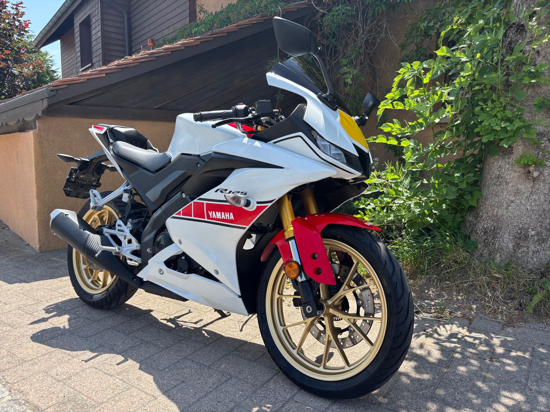 YAMAHA YZF-R 125 World GP 60th-image-2