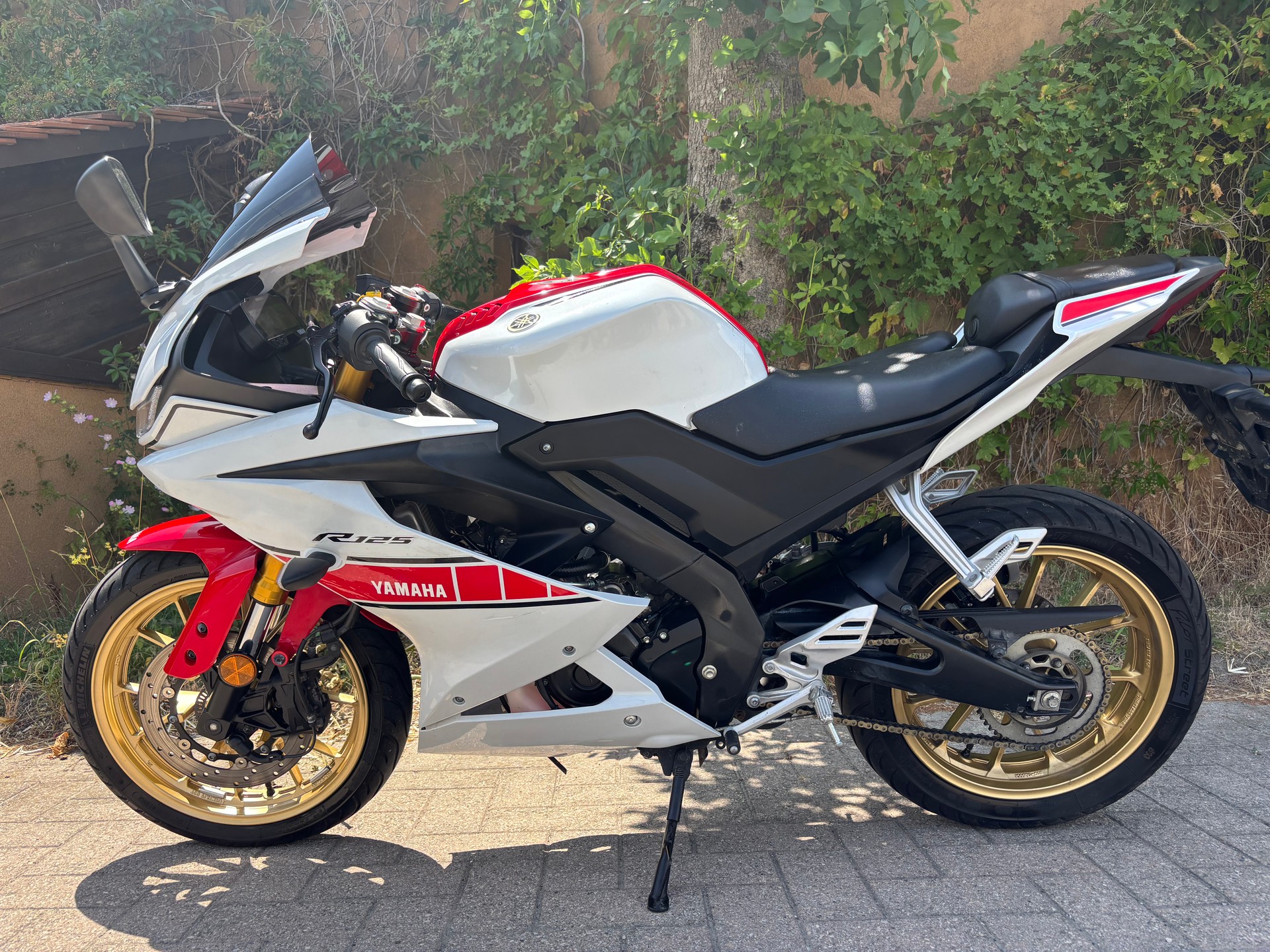 YAMAHA YZF-R 125 World GP 60th-image-5
