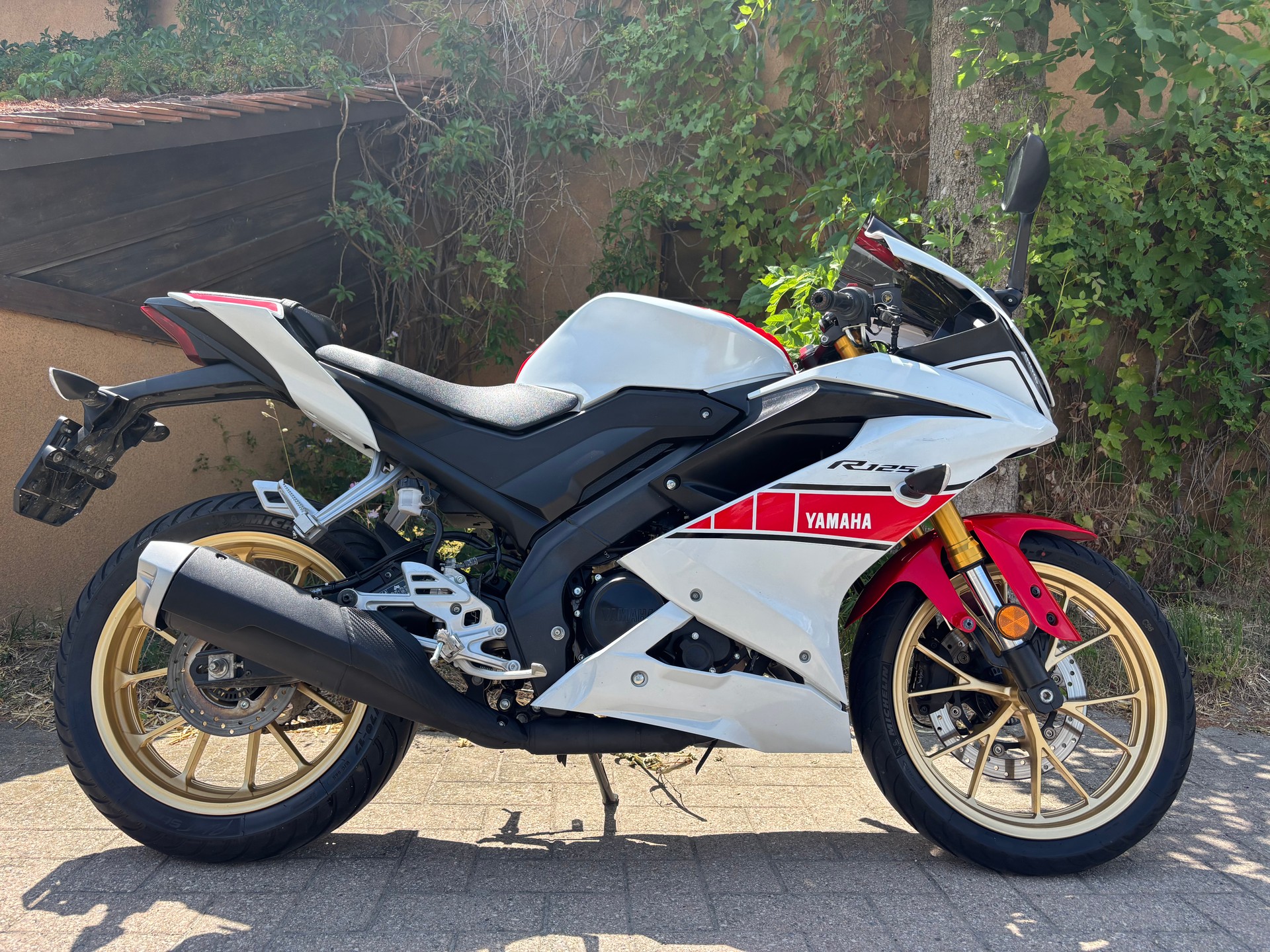 YAMAHA YZF-R 125 World GP 60th-image-1