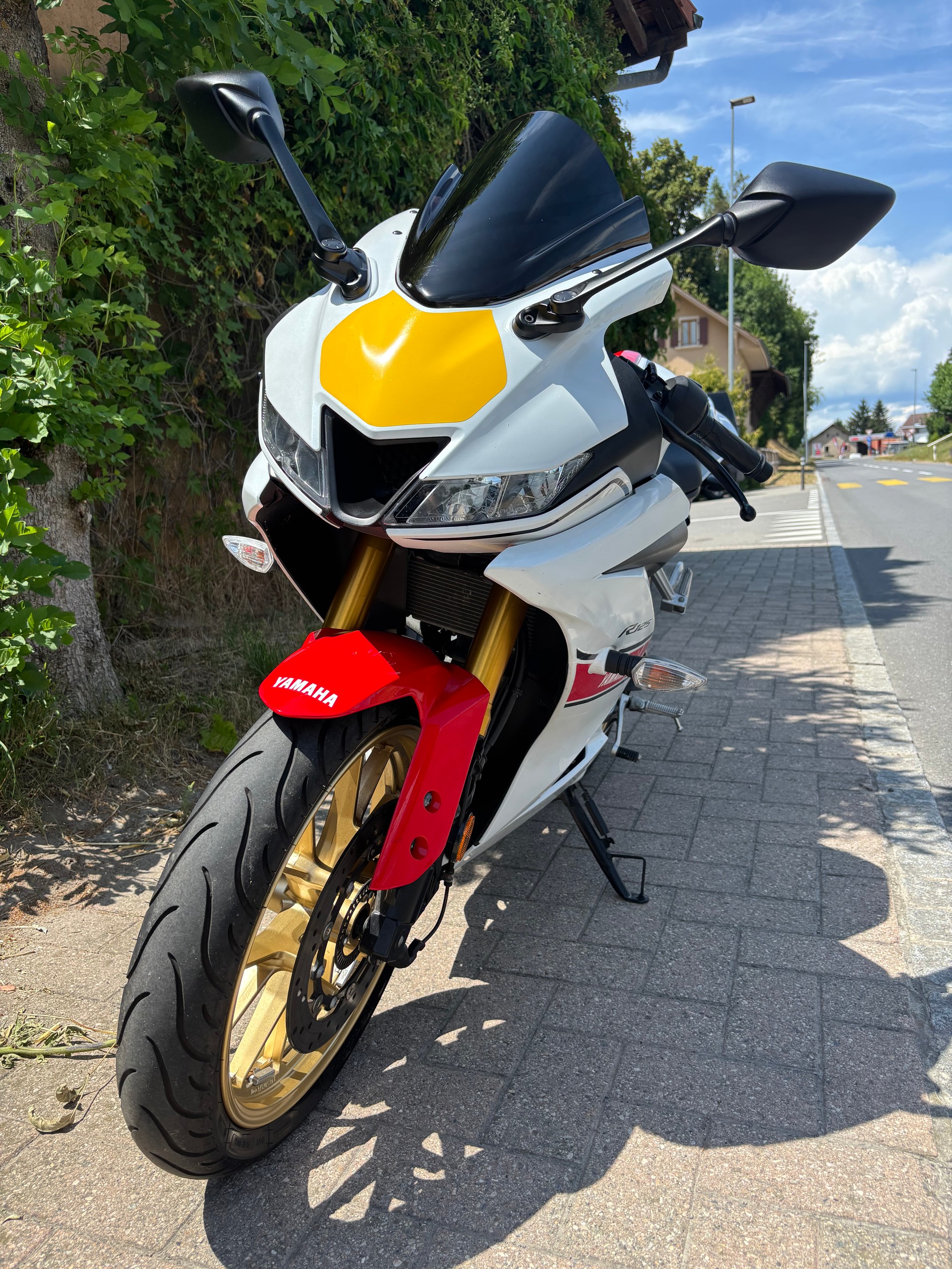 YAMAHA YZF-R 125 World GP 60th-image-4
