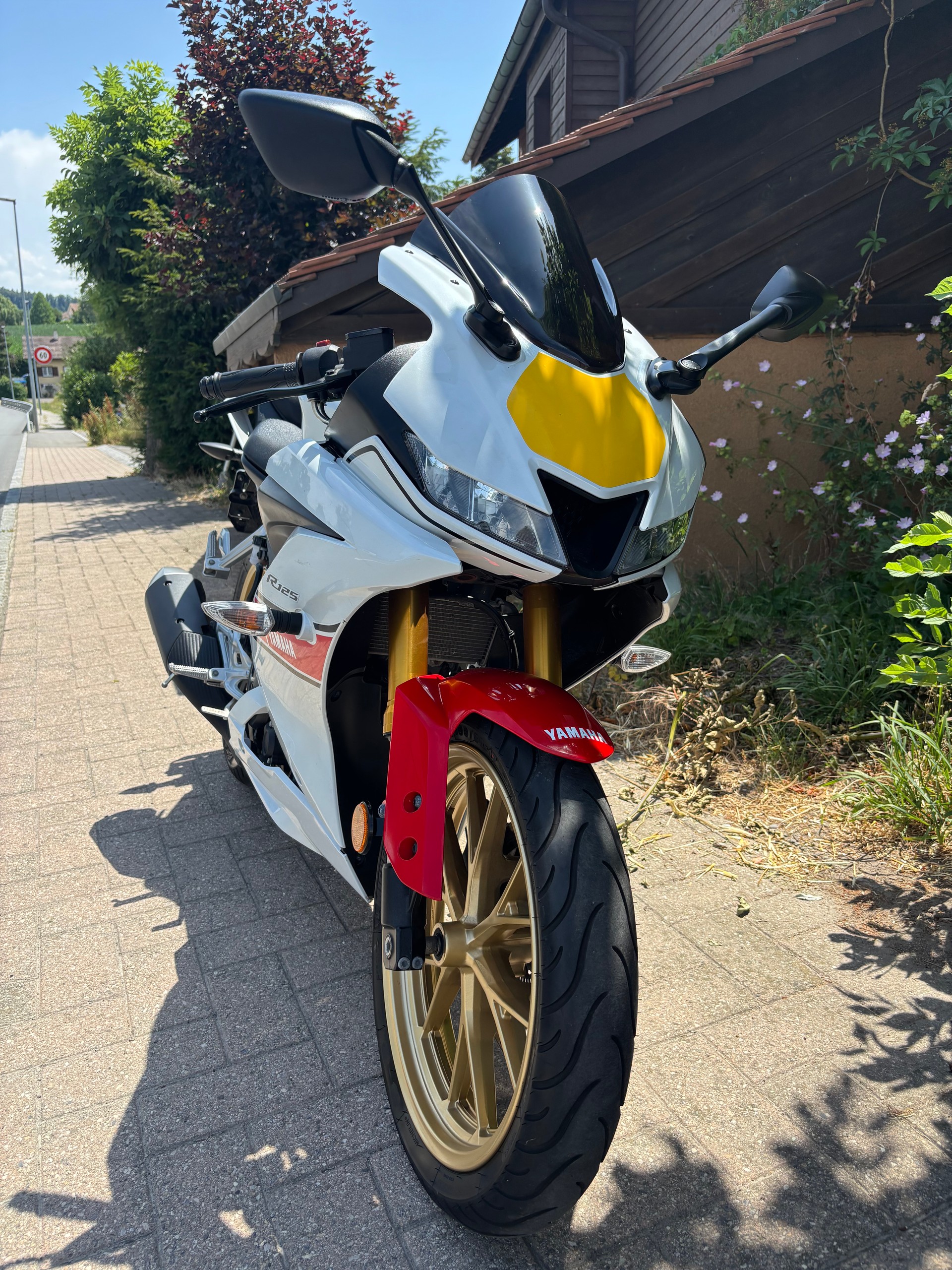 YAMAHA YZF-R 125 World GP 60th-image-3