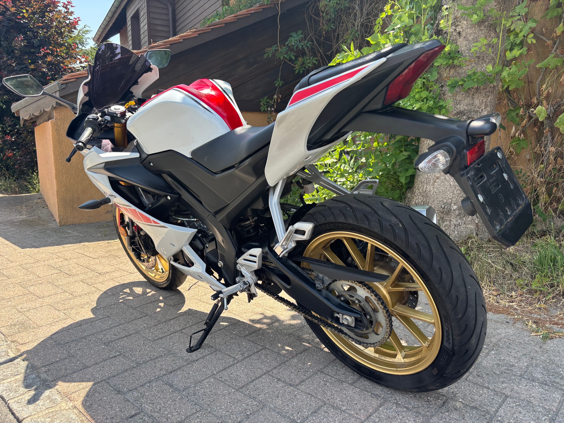 YAMAHA YZF-R 125 World GP 60th-image-6