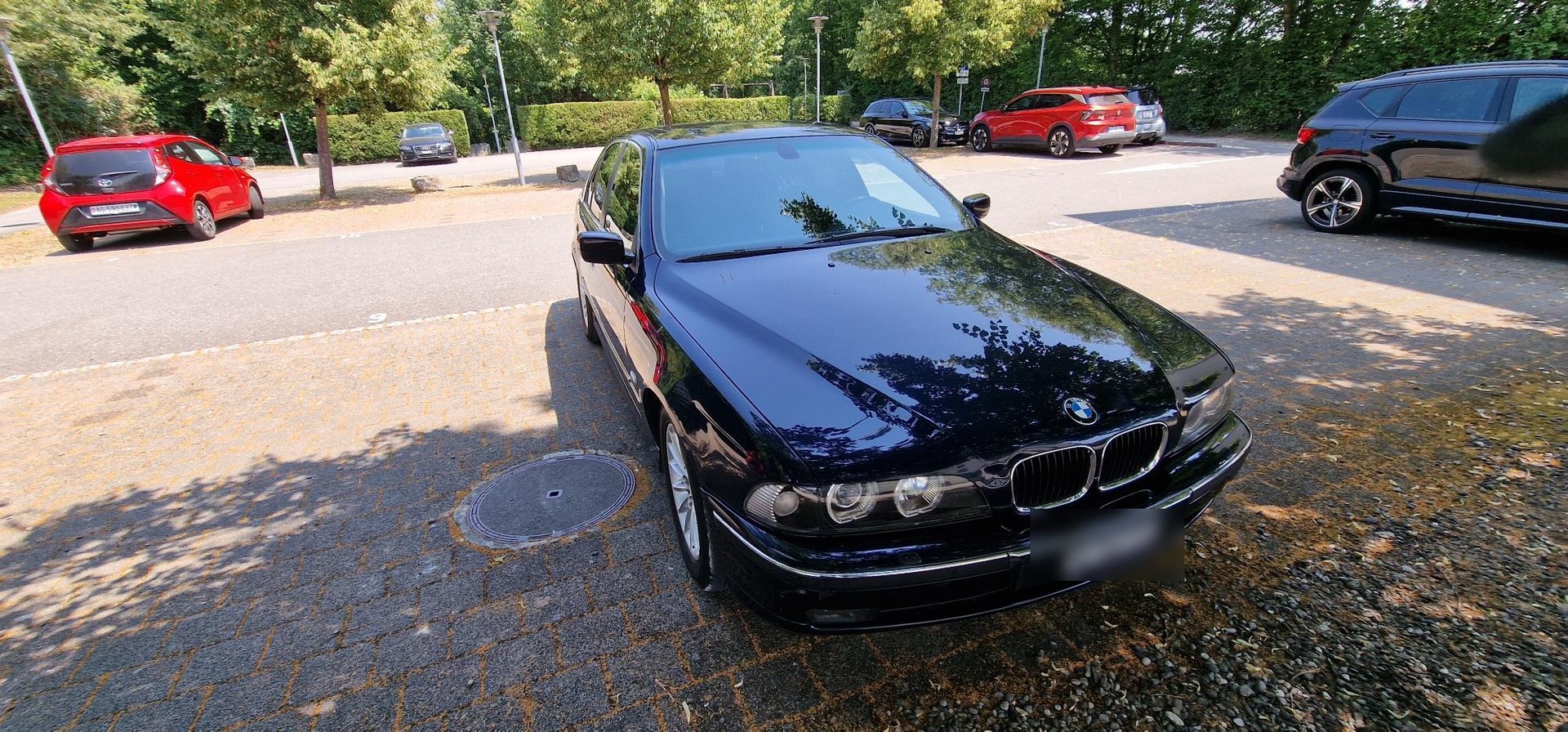 BMW 530d ABS dAiB-image-9