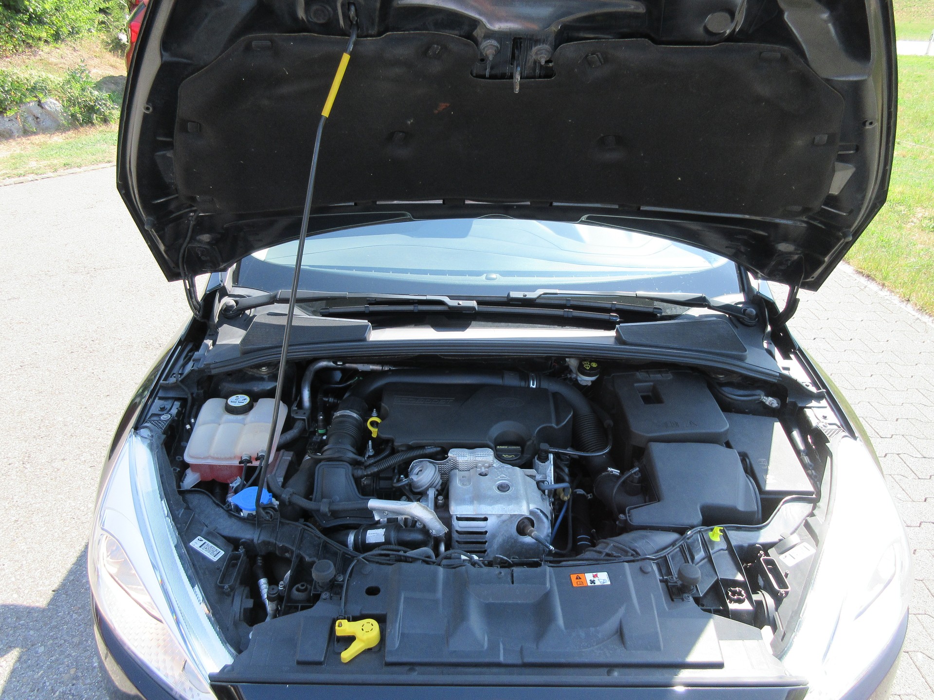 FORD Focus 1.0 SCTi Trend-image-12