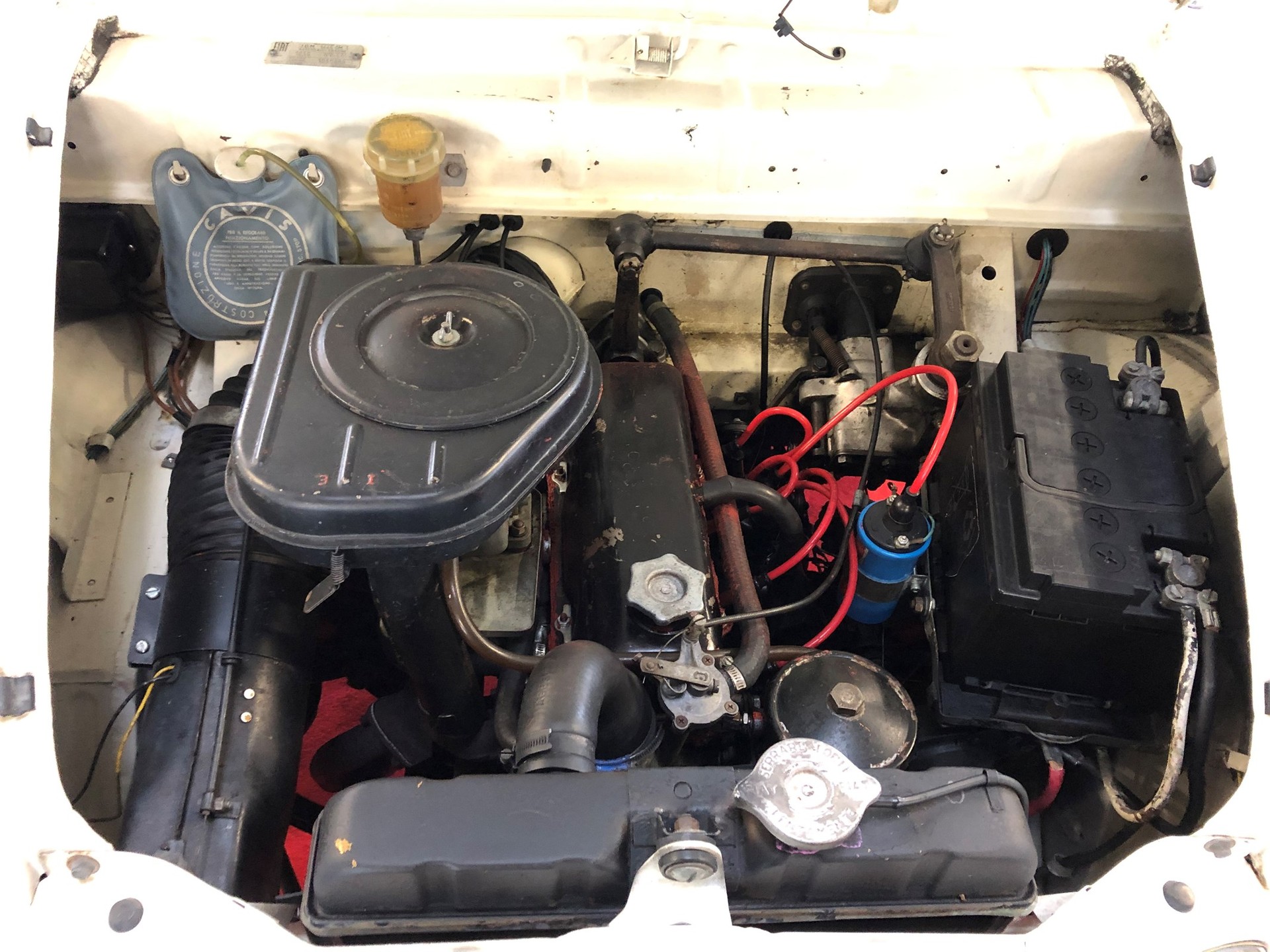 FIAT 1100 Special-image-21