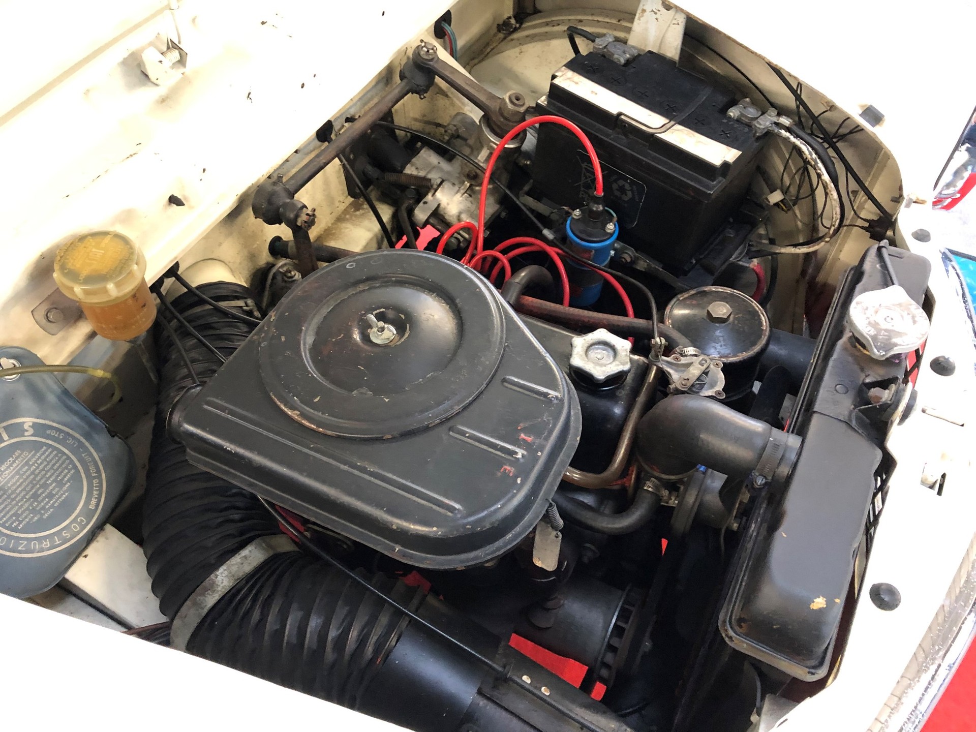 FIAT 1100 Special-image-22