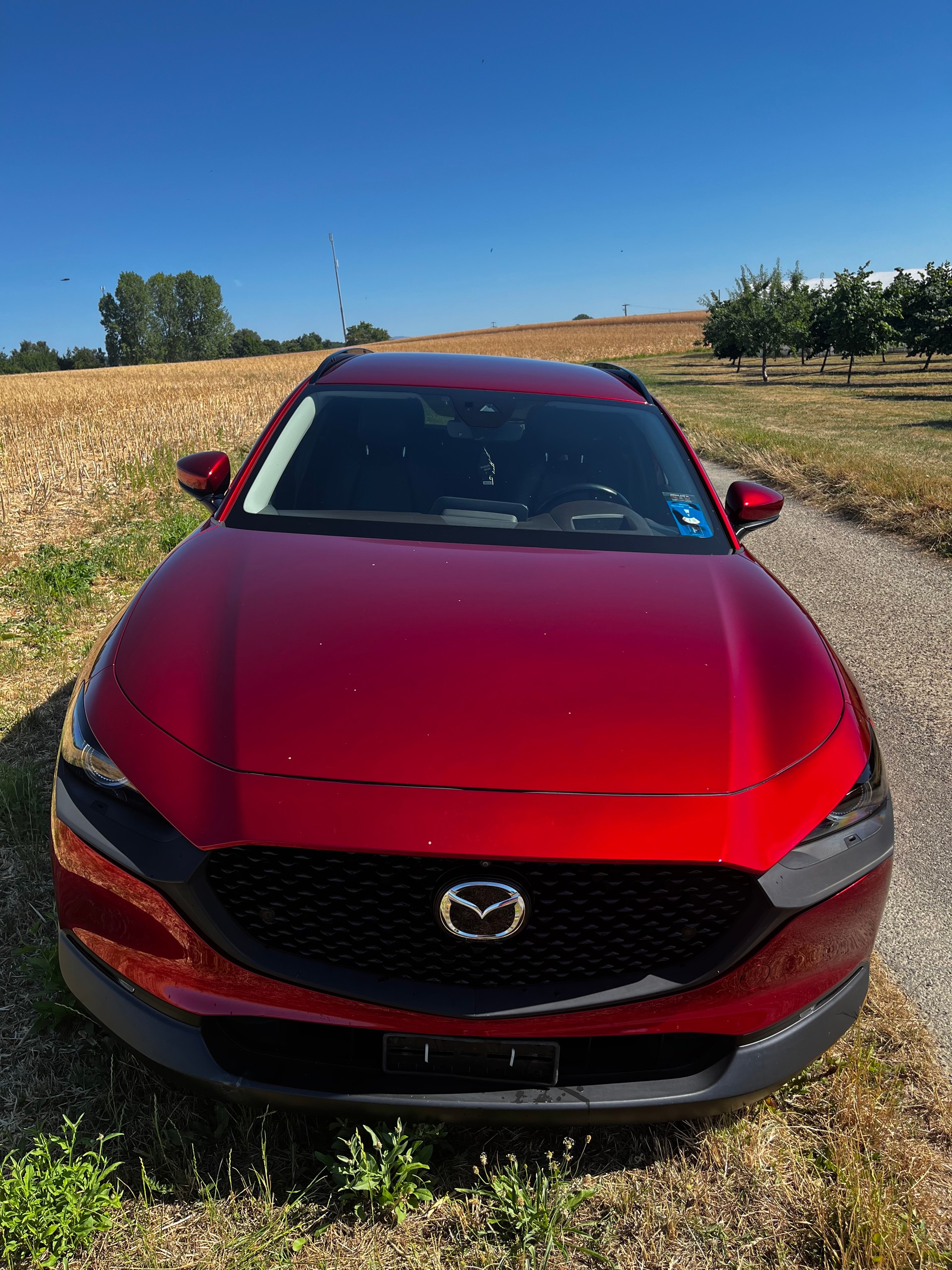 MAZDA 2.0 186 Revolution AWD-image-1