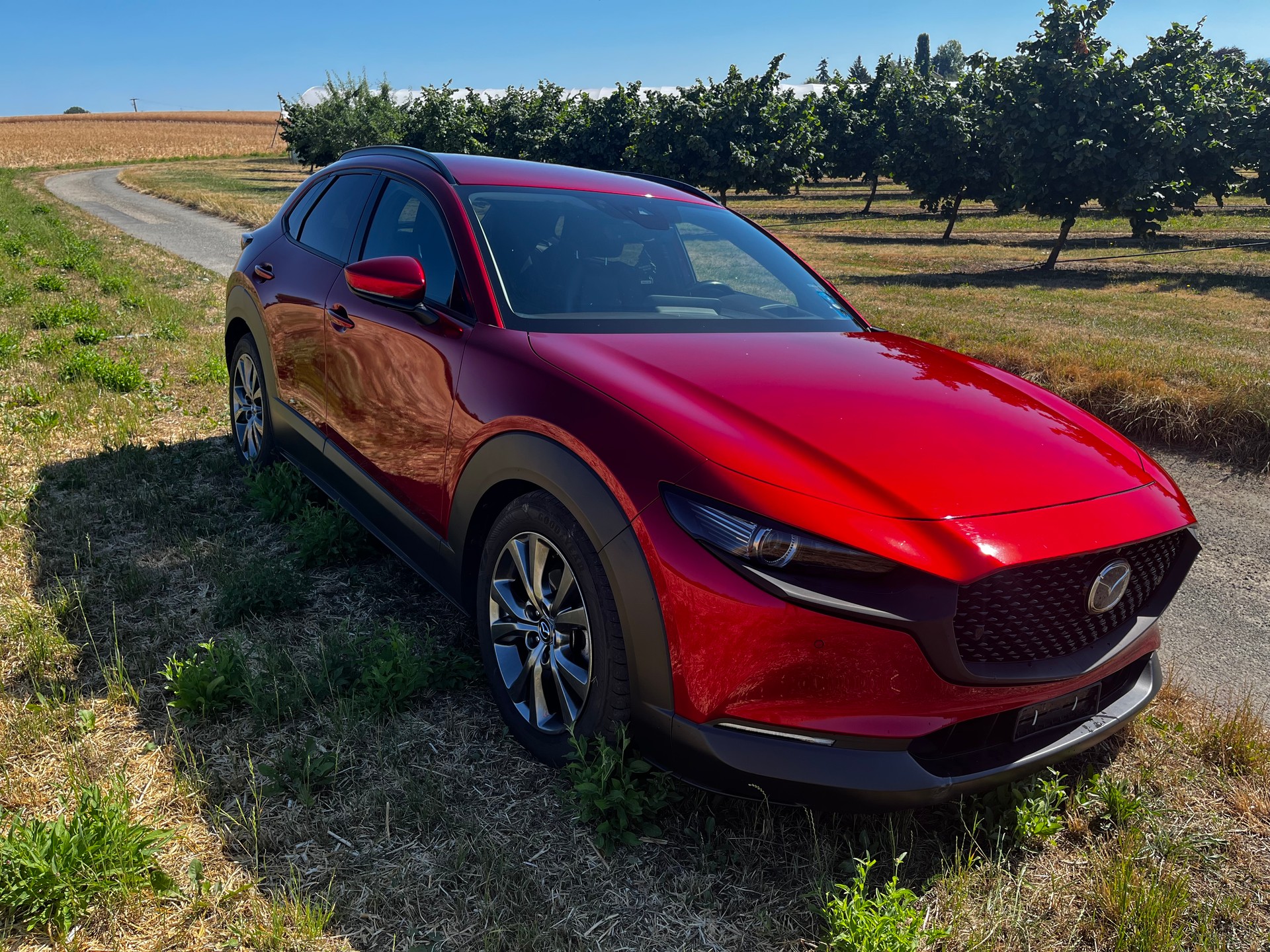 MAZDA 2.0 186 Revolution AWD-image-0