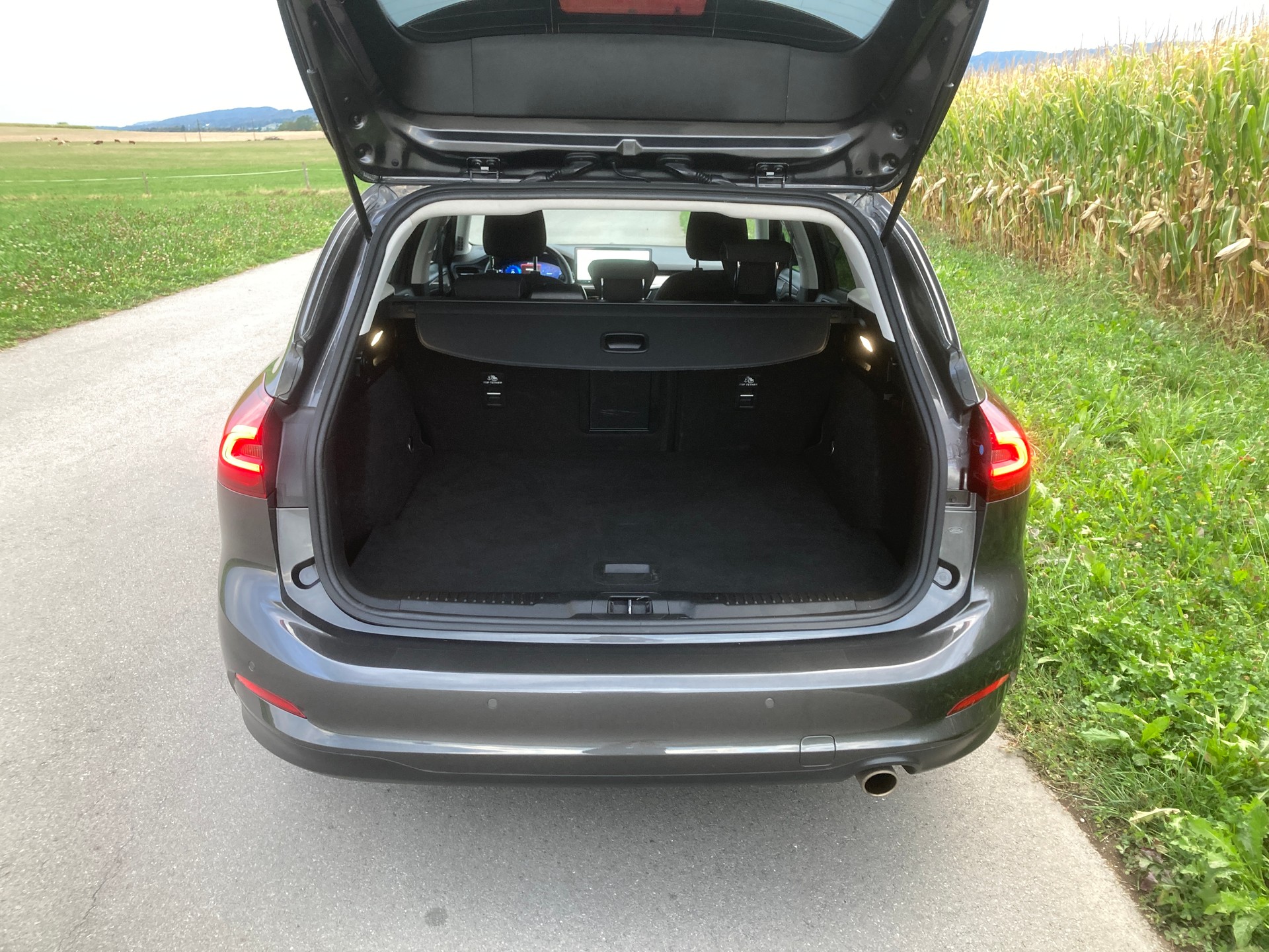 FORD Focus 1.0 MHEV Titanium X Automat-image-5
