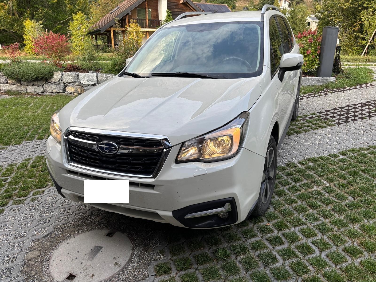 SUBARU 2.0 Swiss-image-4
