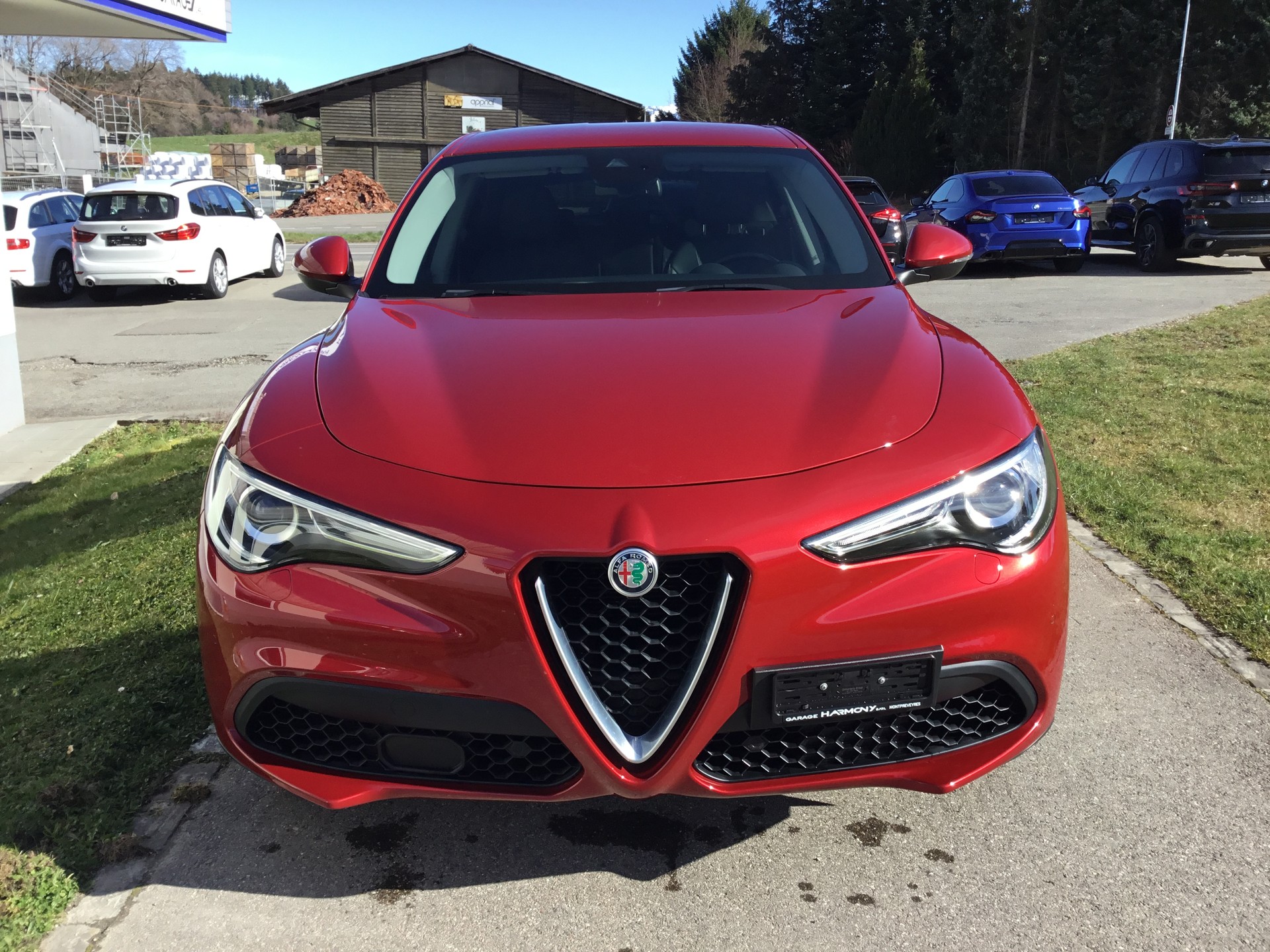 ALFA ROMEO Stelvio 2.0 First Edition Q4 Automatic-image-2