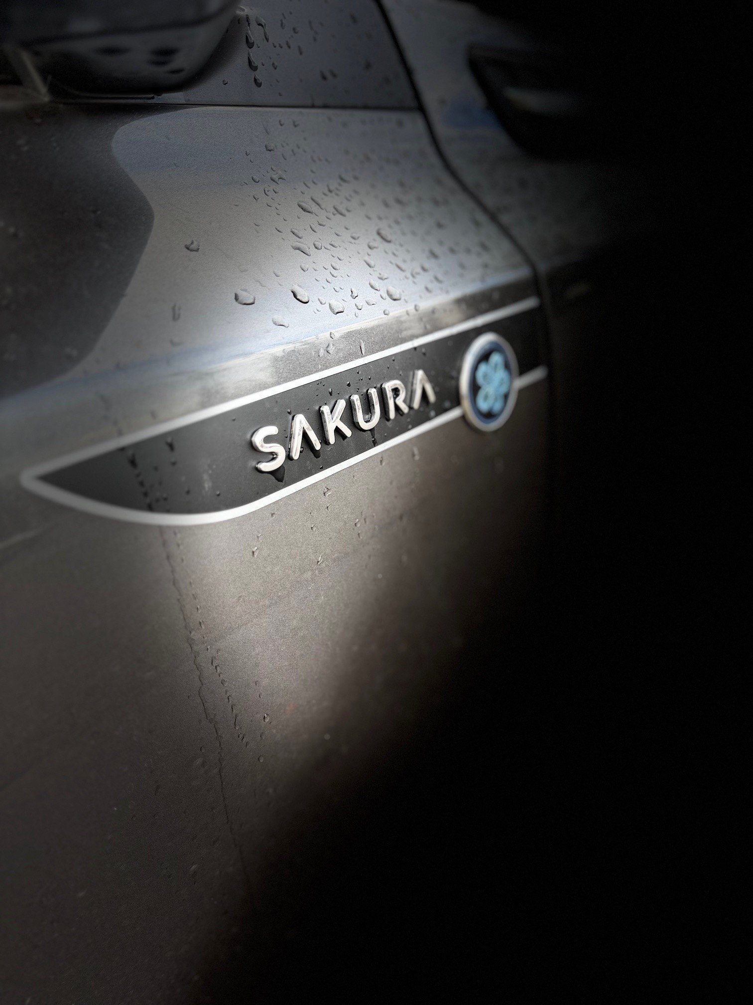 SUZUKI Vitara 1.4 Boosterjet Sakura Top 4x4 Hybrid Automatic-image-7