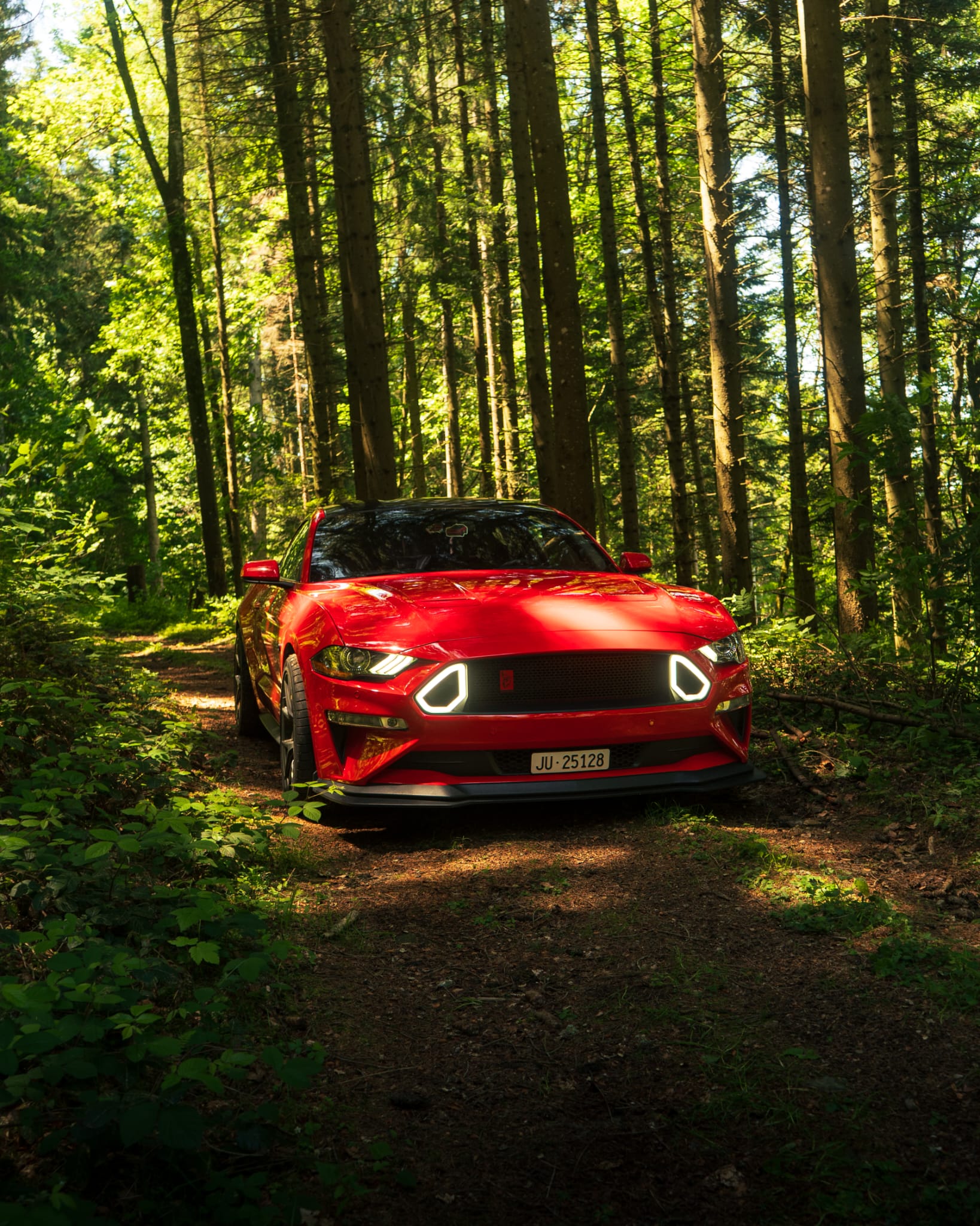 FORD Pack Perf Level 2-image-1