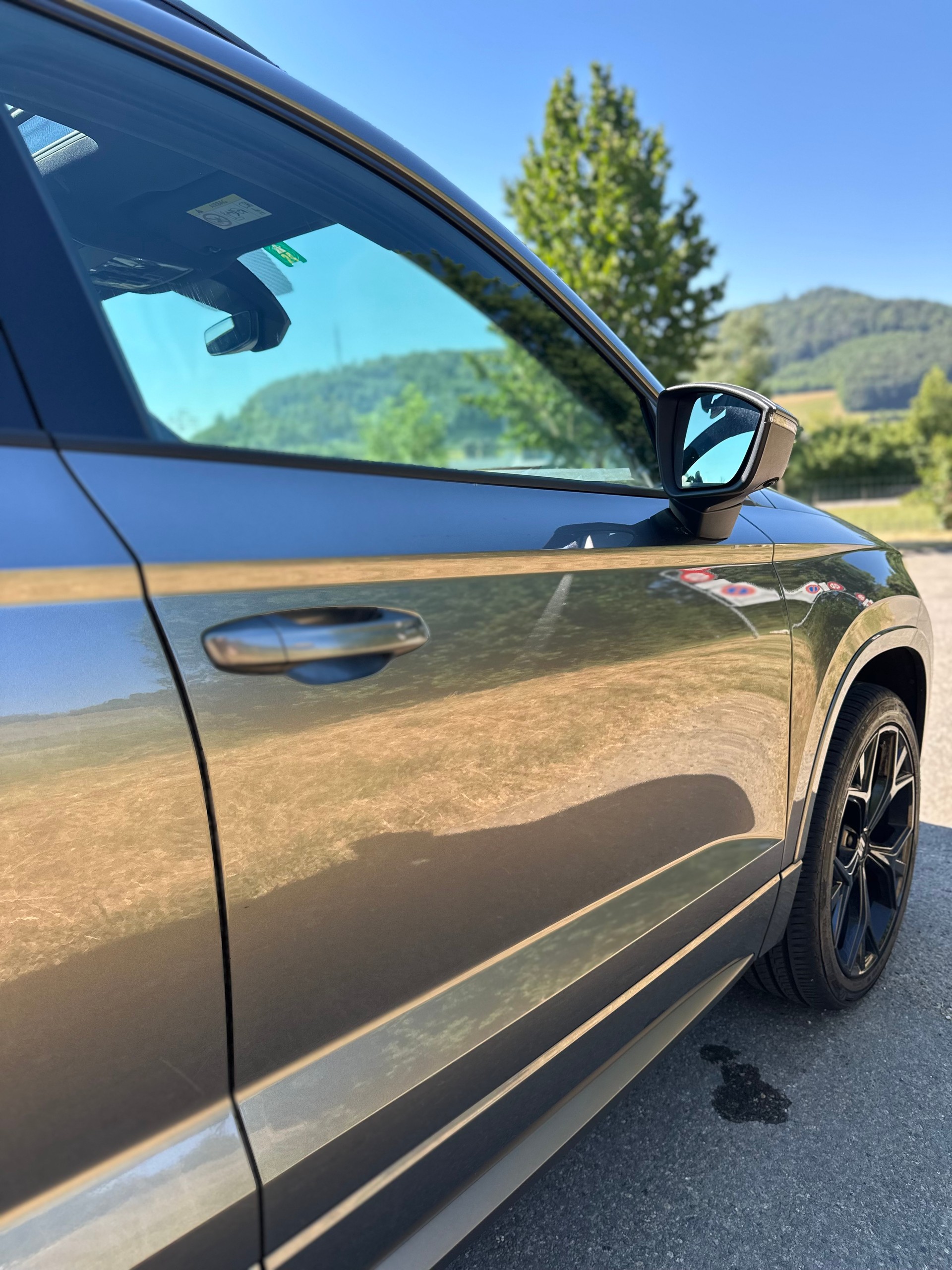 SEAT 2.0 TSI Hola FR 4Drive DSG-image-4