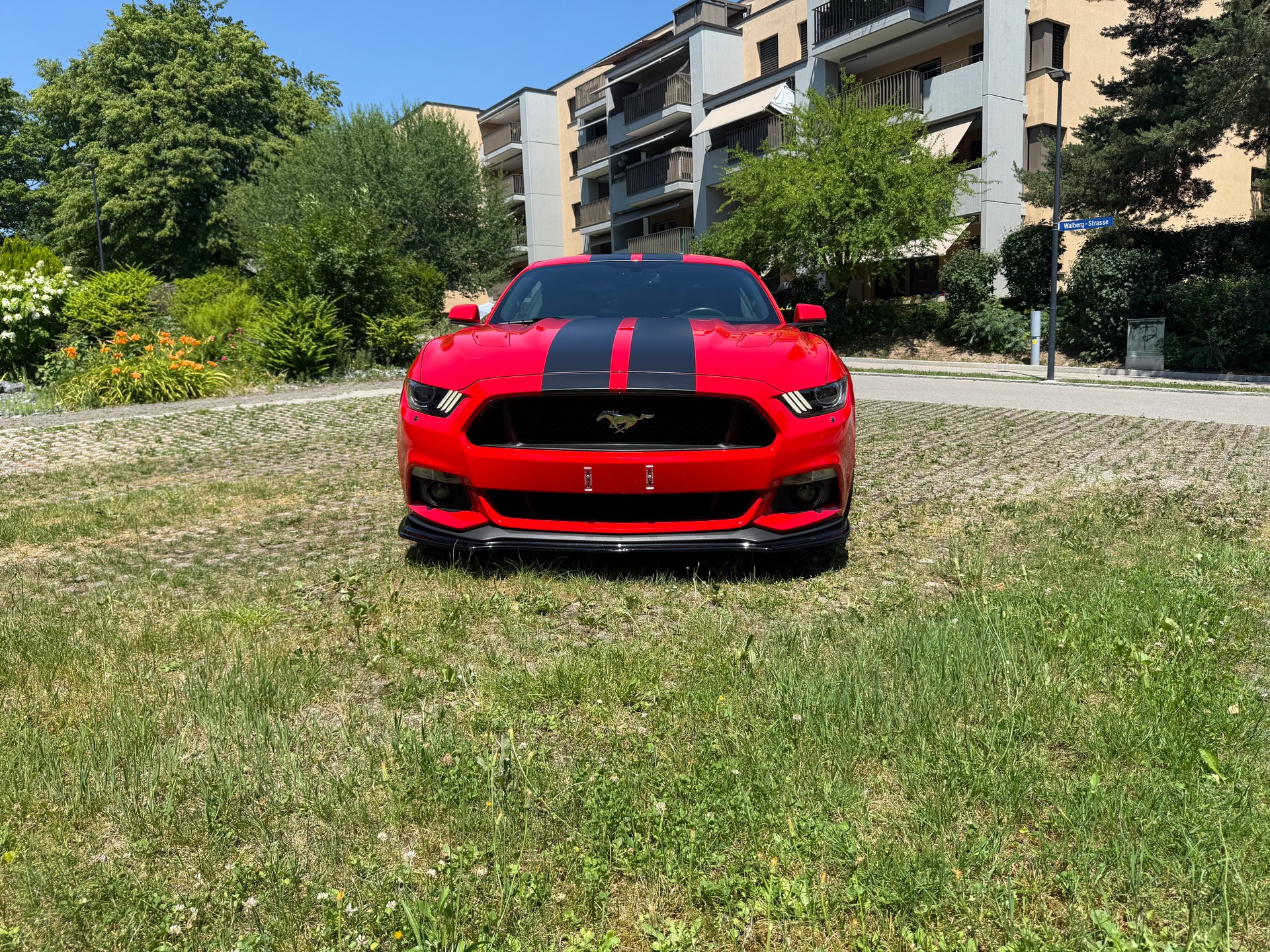 FORD 5.0 V8 GT-image-4