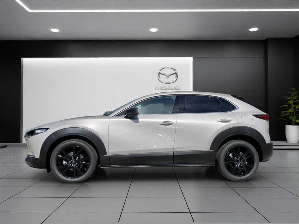 Image MAZDA CX-30 CX-30 SKYACTIV-X 186 M Hybrid Homura AWD AT