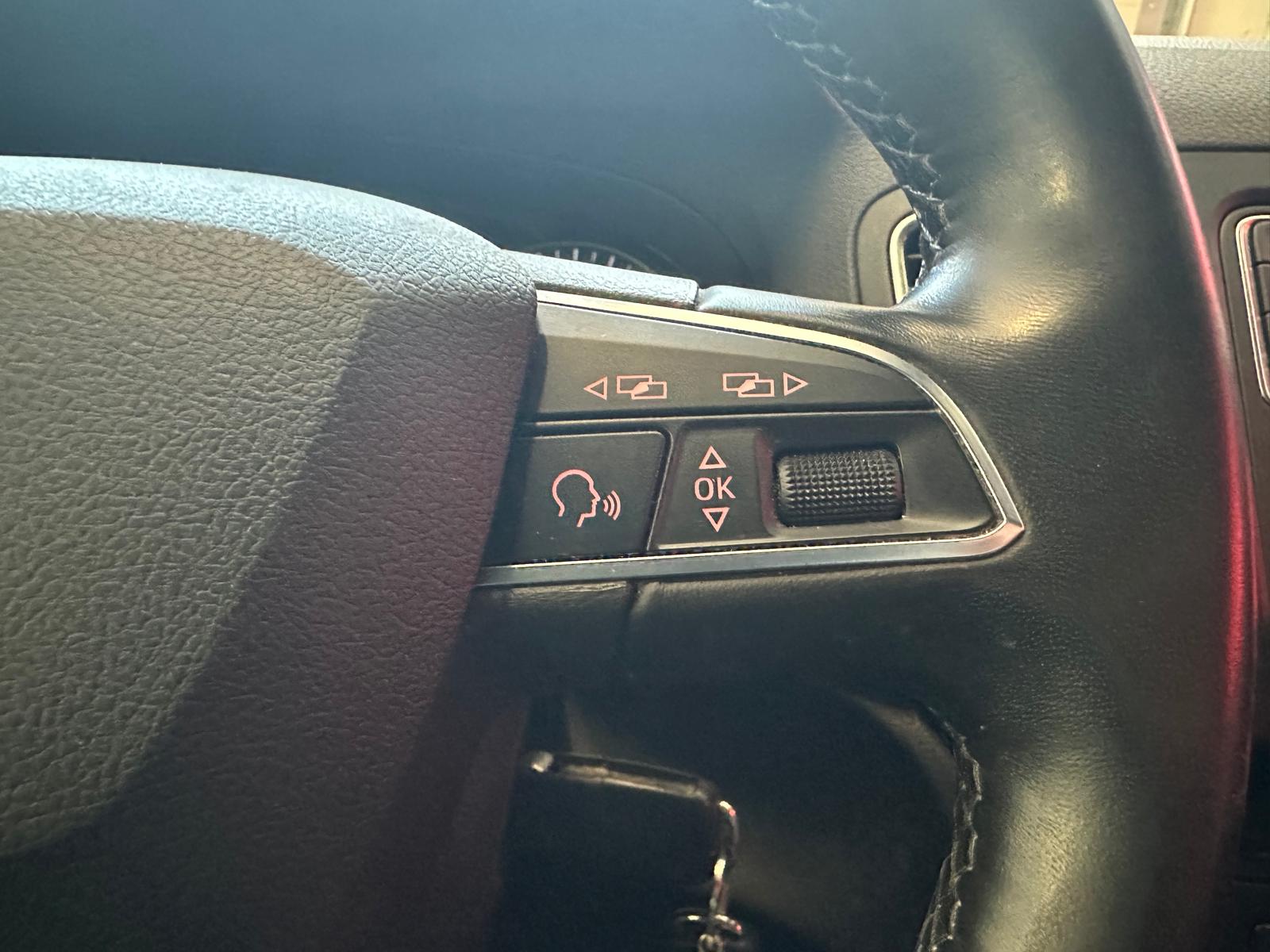 SEAT Alhambra 2.0 TDI Hola FR DSG-image-17