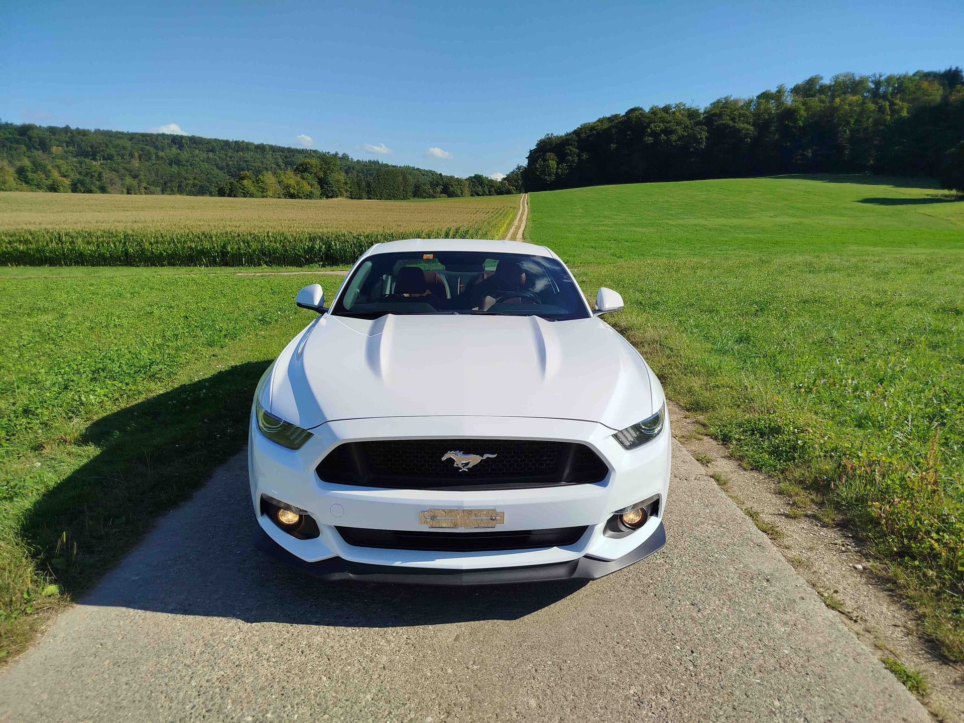 FORD Mustang Fastback 5.0 V8 GT Automat-image-0