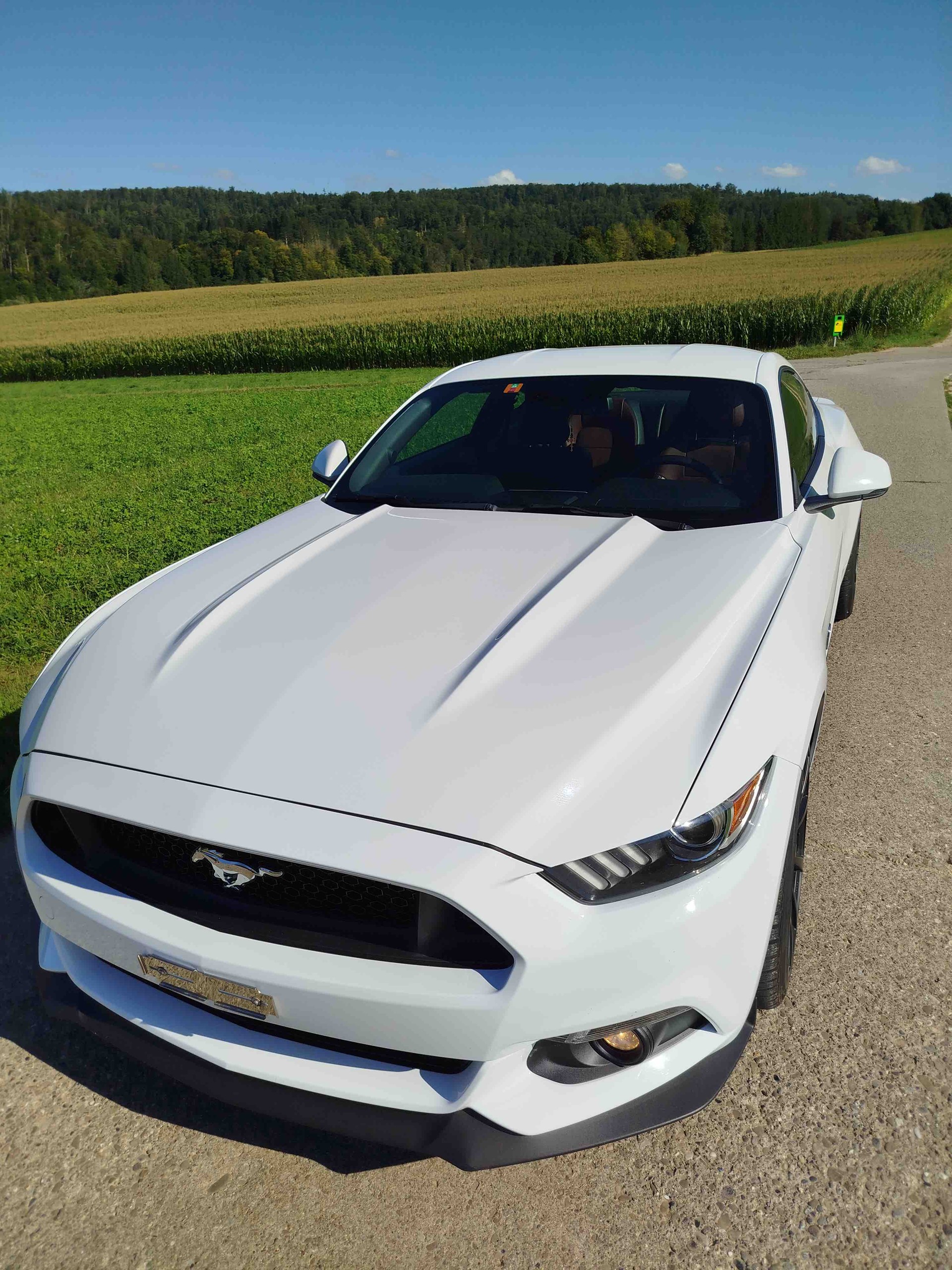 FORD Mustang Fastback 5.0 V8 GT Automat-image-8