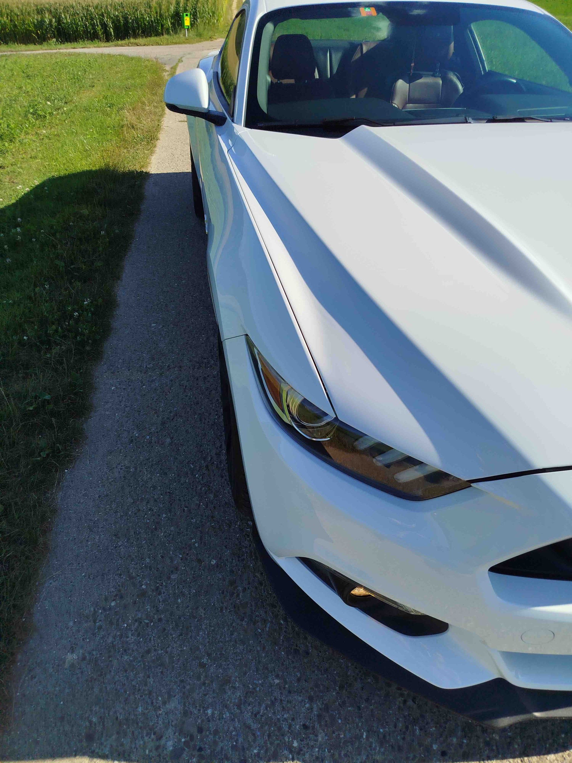 FORD Mustang Fastback 5.0 V8 GT Automat-image-7