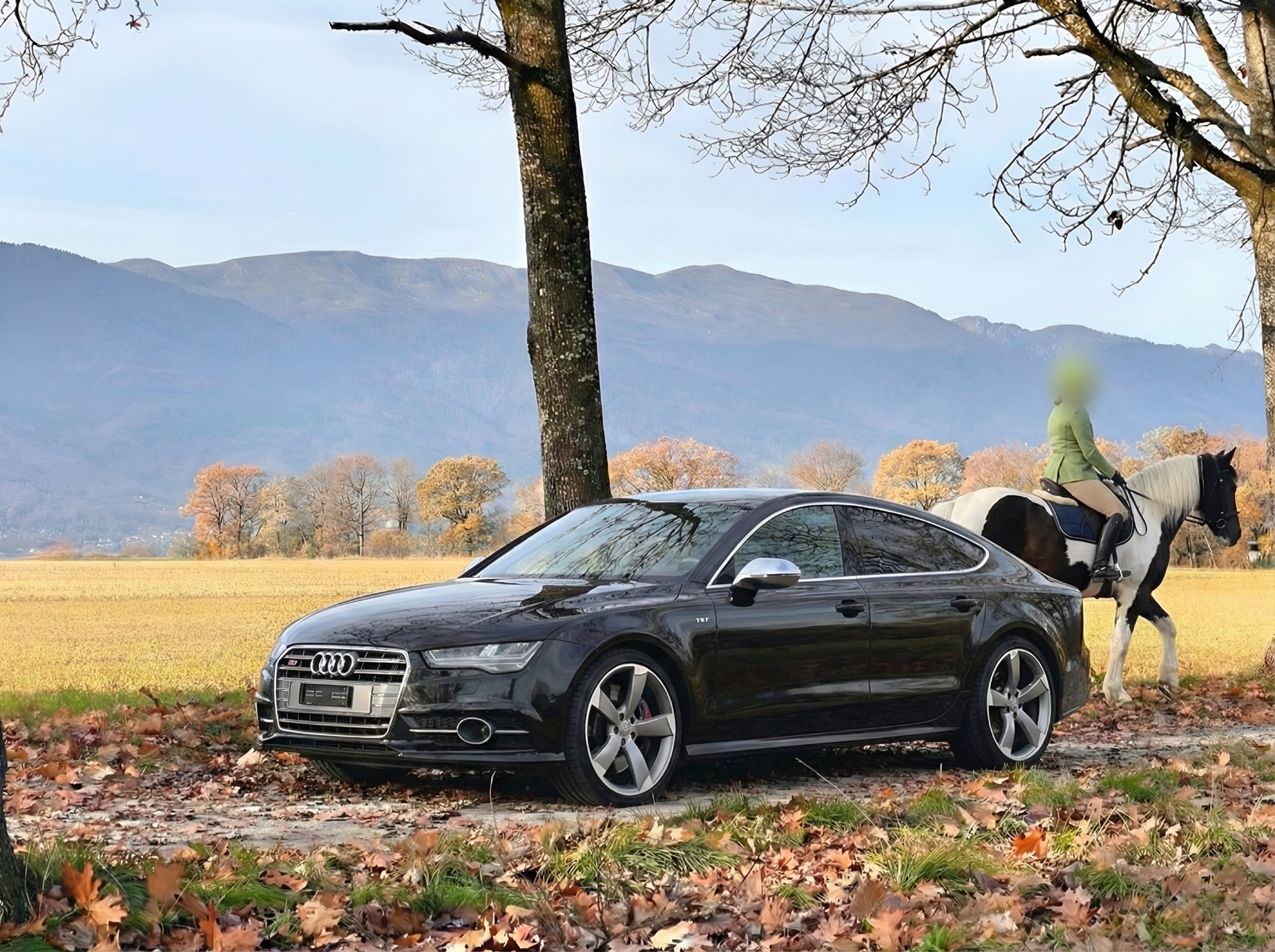 Car photo