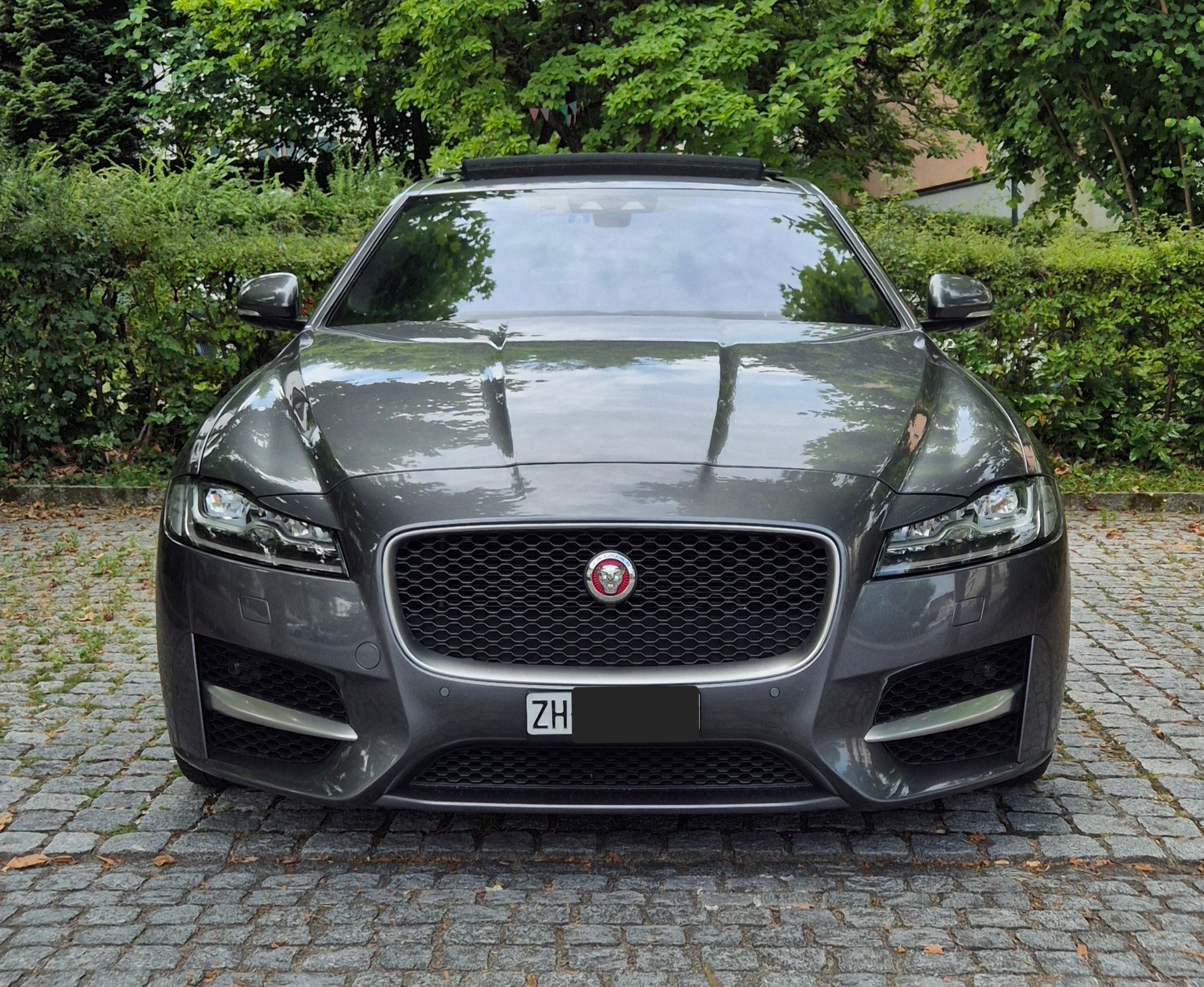 JAGUAR R-Sport 3.0d Checkheft-image-1