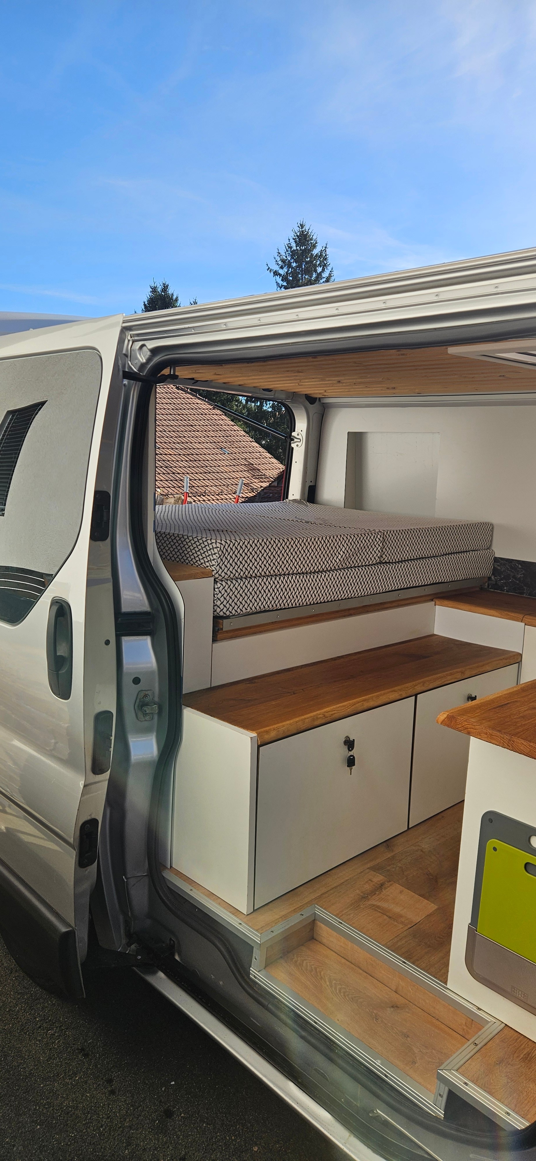 OPEL VIVARO-image-6