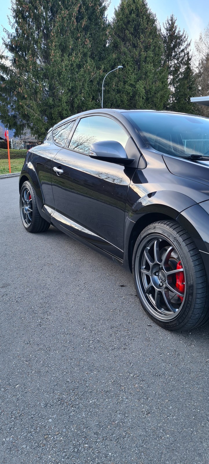 RENAULT Mégane Coupé 2.0 16V Turbo RS-image-6