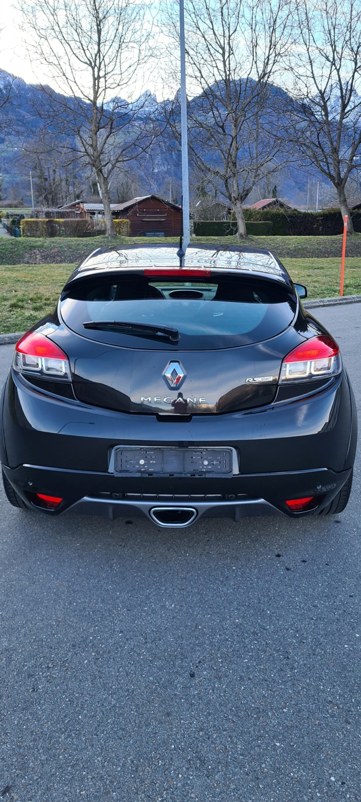 RENAULT Mégane Coupé 2.0 16V Turbo RS-image-3