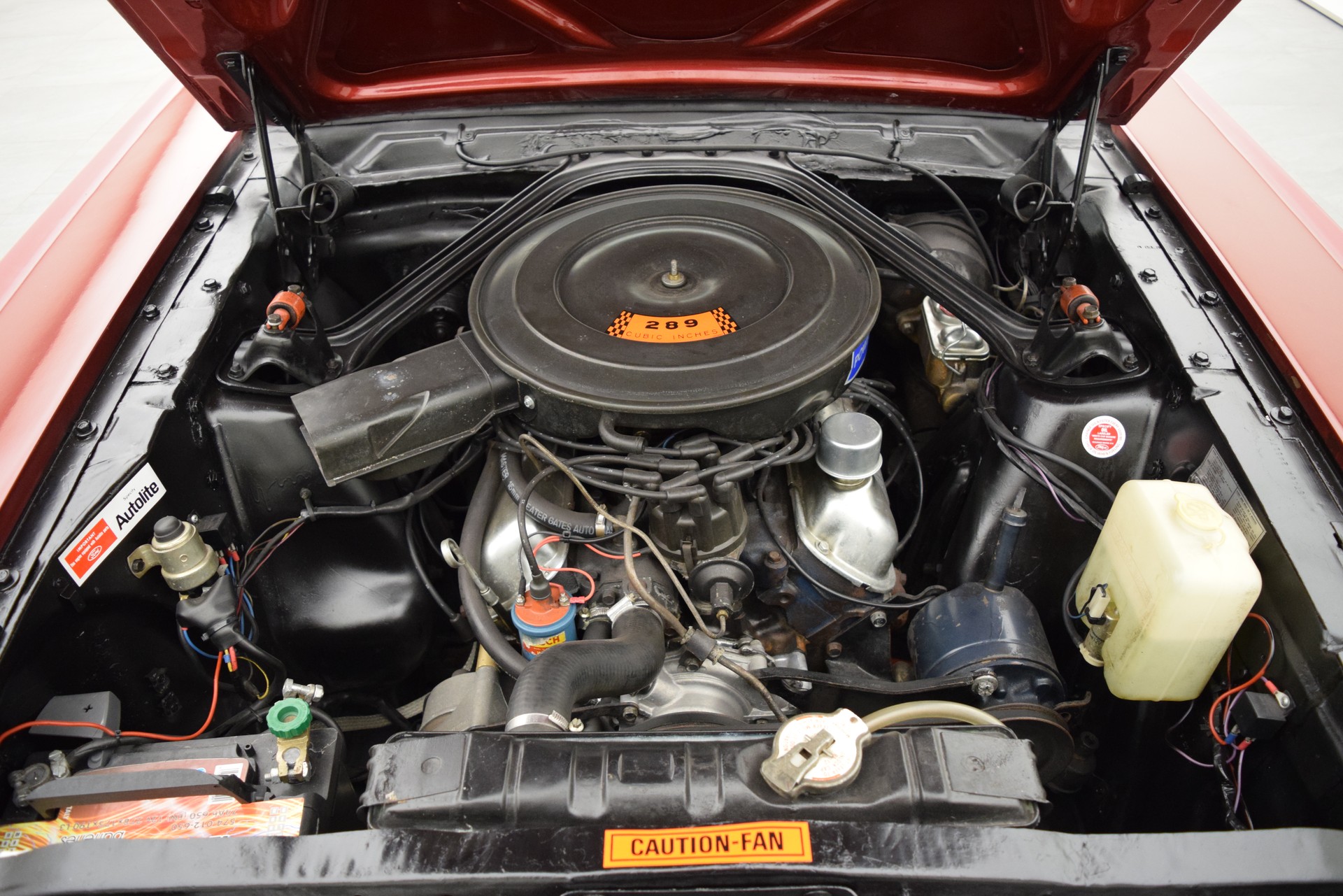 FORD Mustang GT Convertible V8 A-Code-image-13