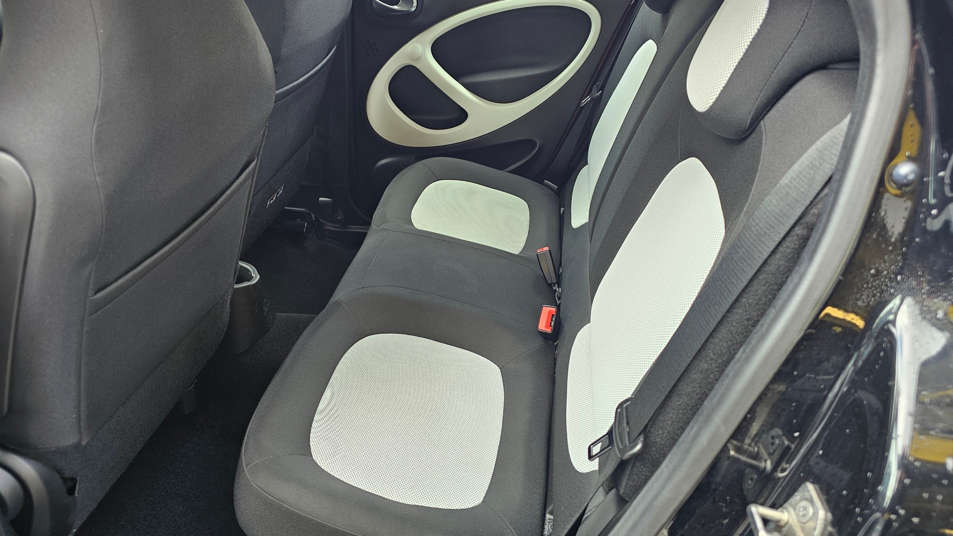 SMART forfour passion-image-7