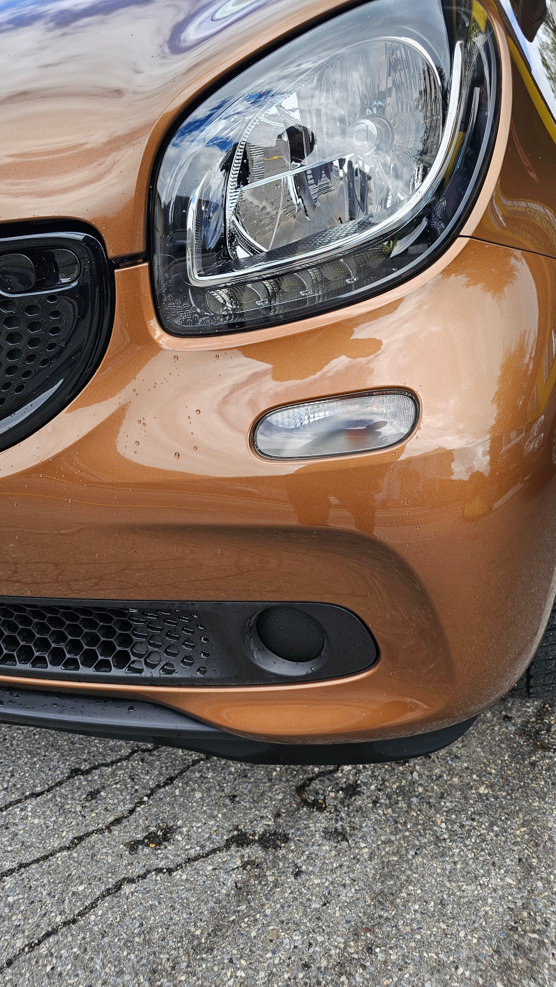 SMART forfour passion-image-3