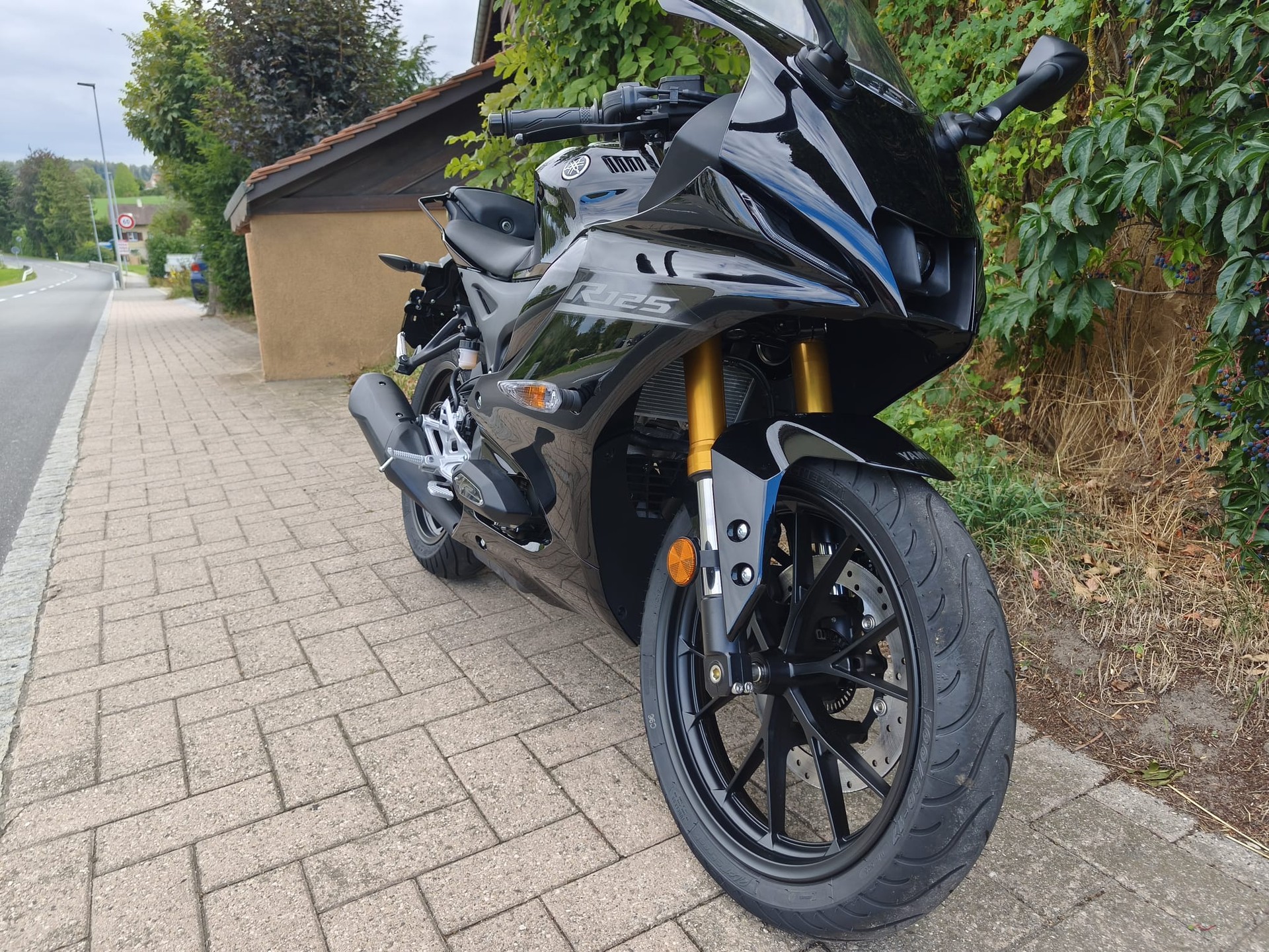 YAMAHA YZF-R 125 ABS-image-3
