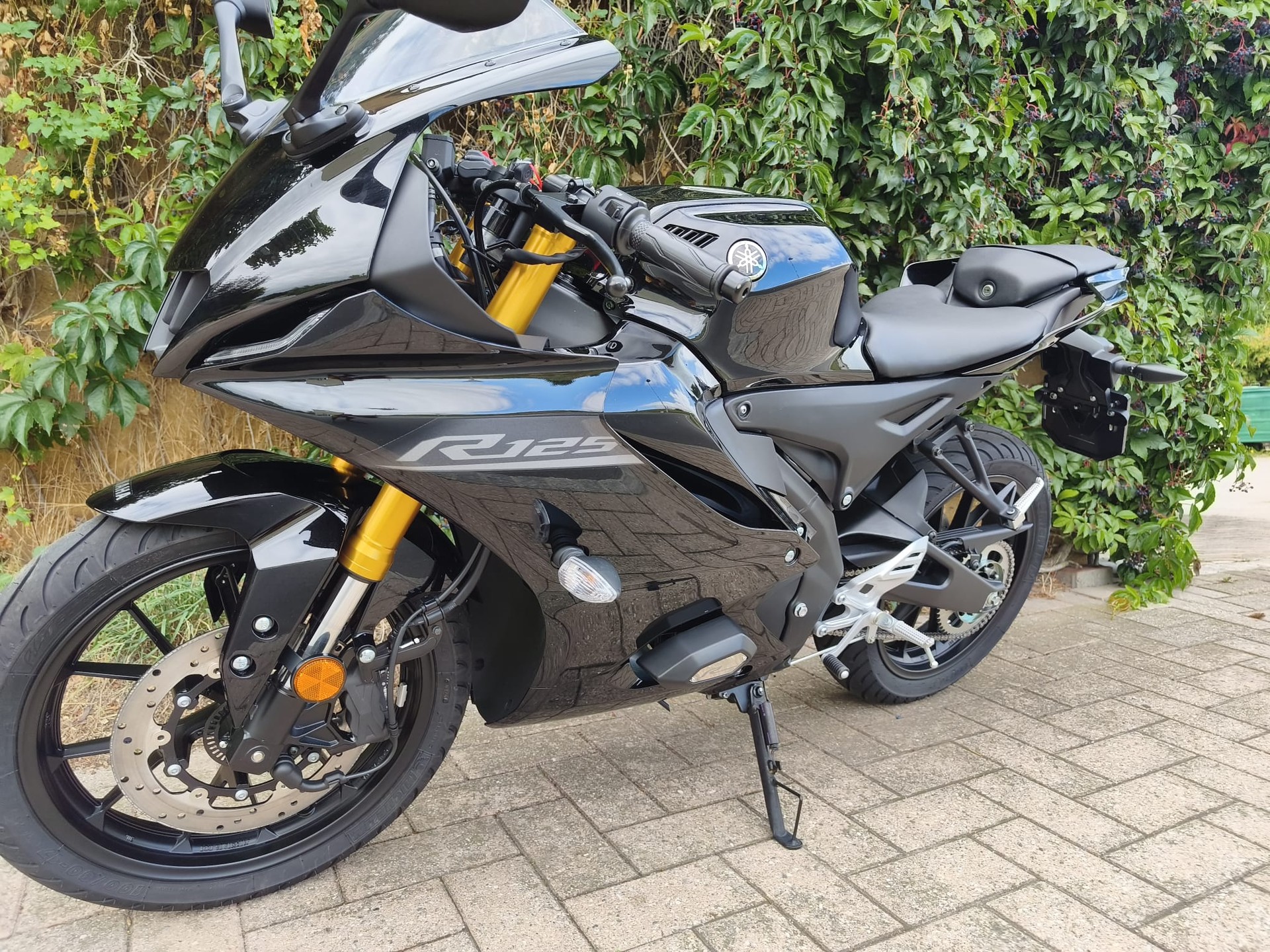 YAMAHA YZF-R 125 ABS-image-6